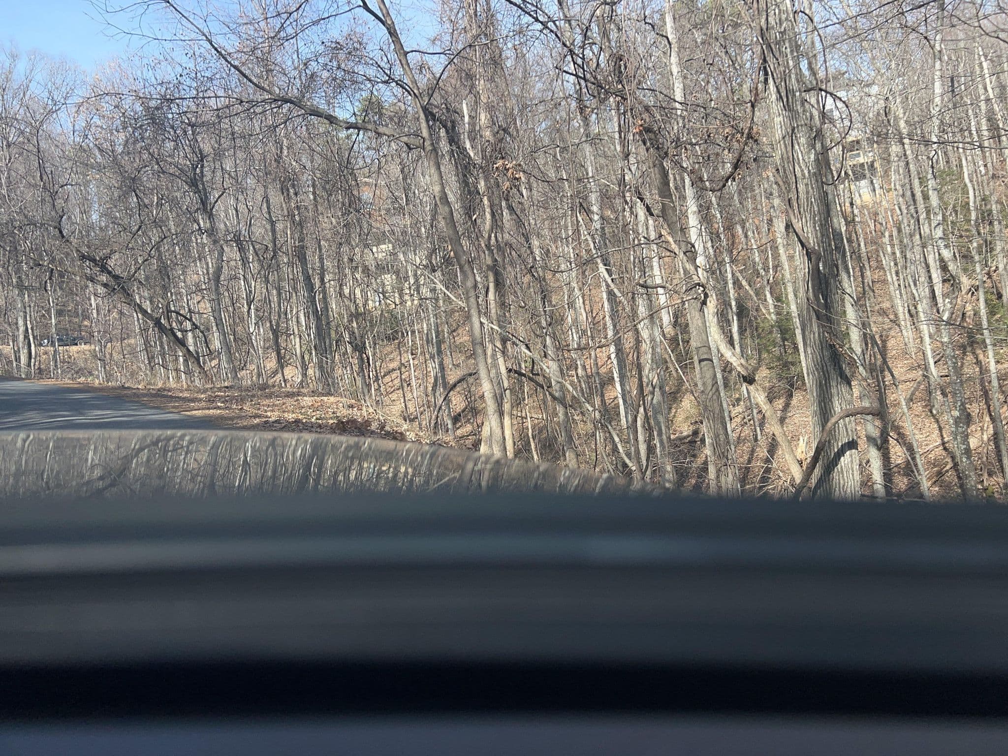 Street view near "Alpenrose Woodhaven" Cabin Rental, Gatlinburg — © cubanoboi (CC BY-SA · Mapillary)