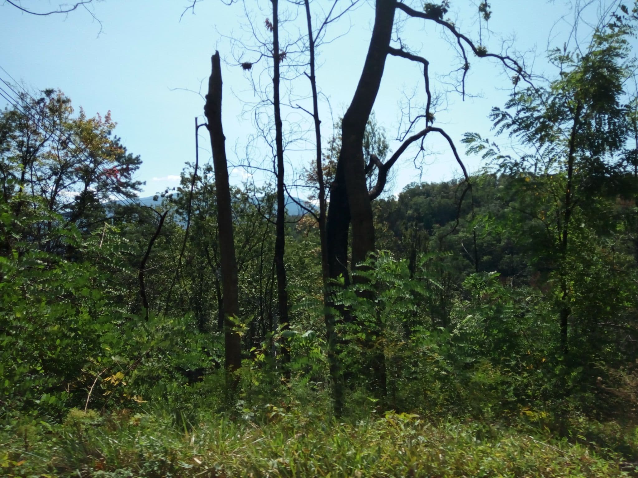 Street view near Club Chalet of Gatlinburg, Gatlinburg — © mapfool (CC BY-SA · Mapillary)