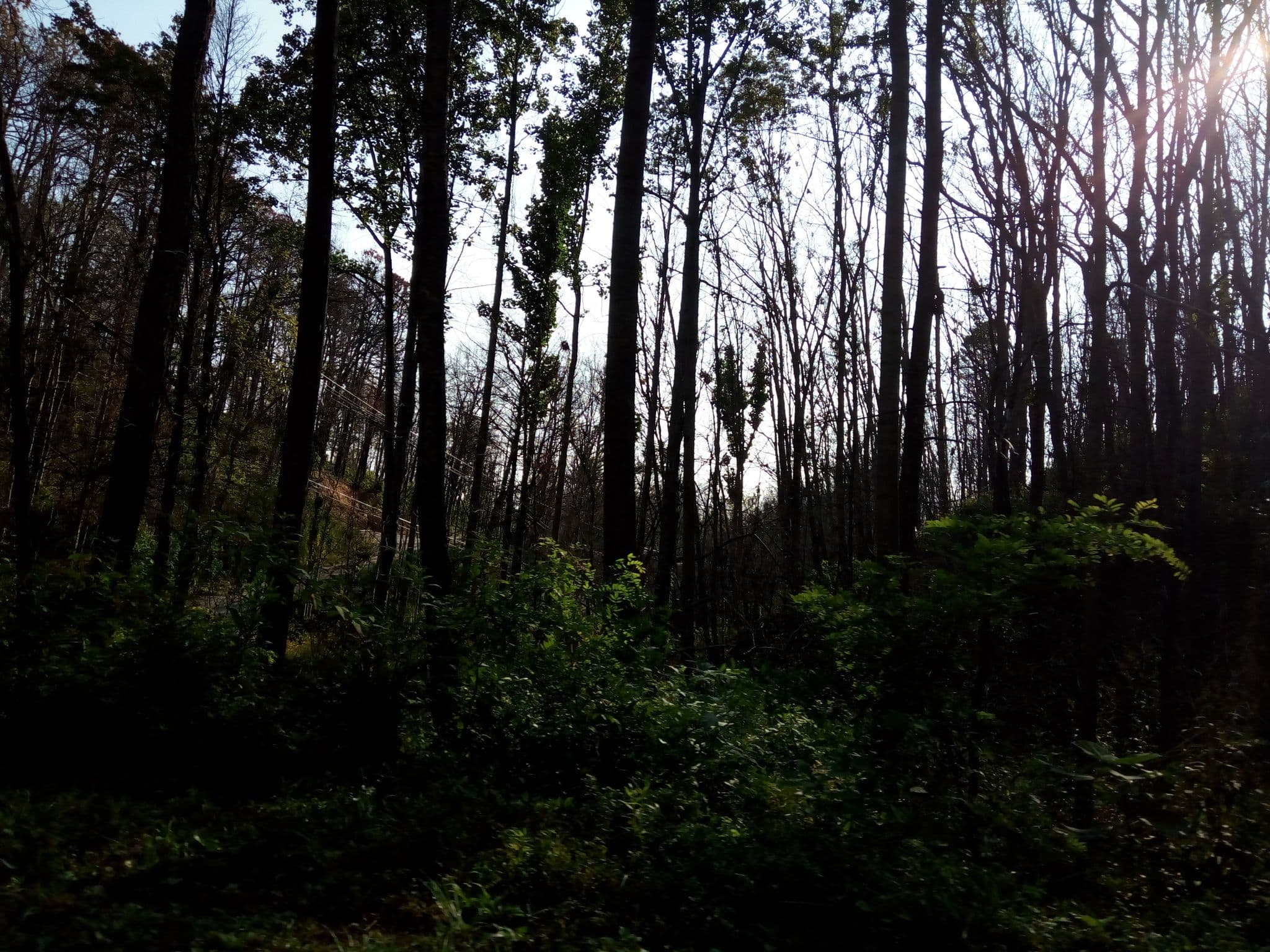 Street view near "Cherokee Springs" Cabin Rental, Gatlinburg — © mapfool (CC BY-SA · Mapillary)