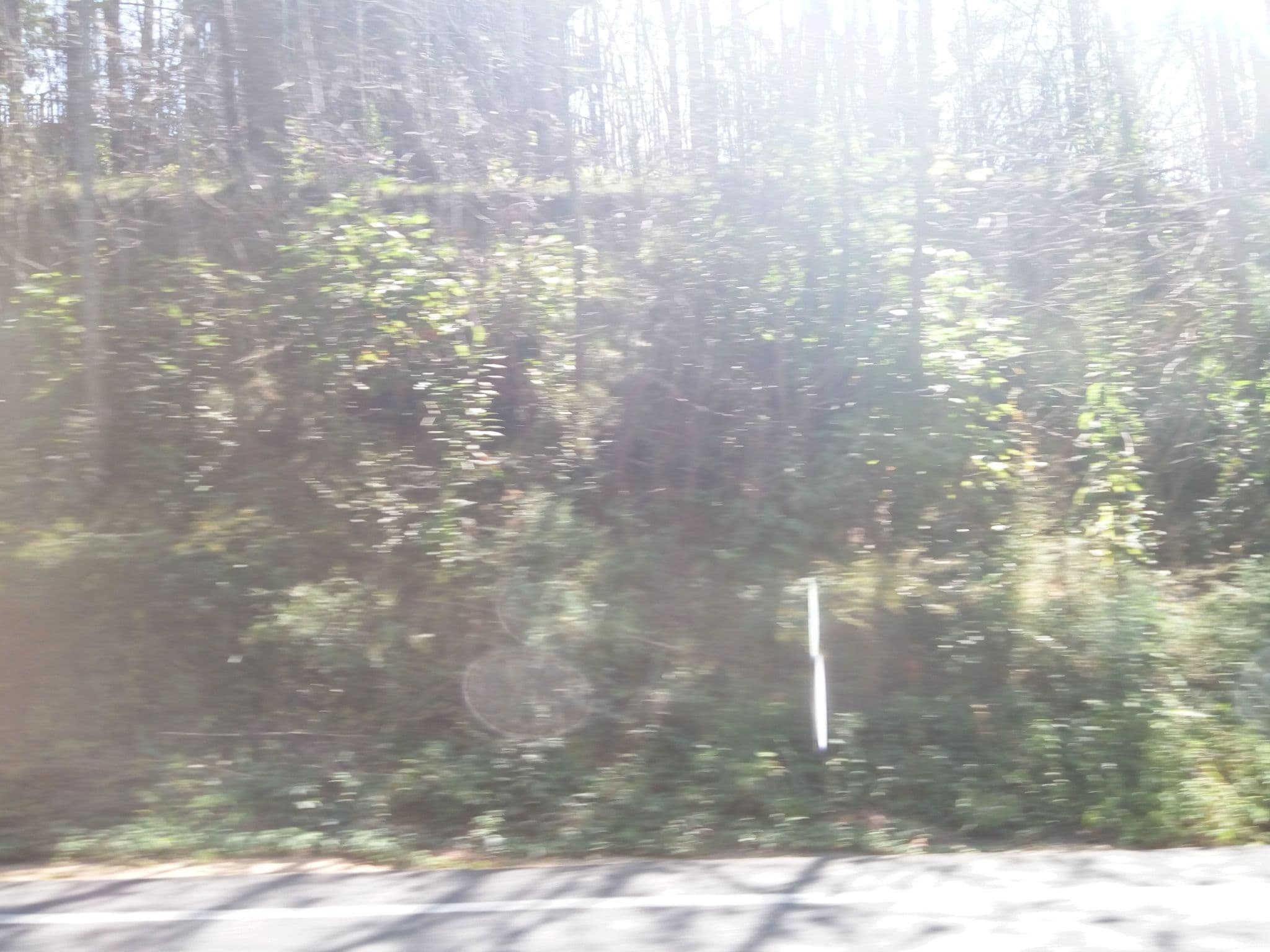 Street view near Valley View Lodge, Gatlinburg — © mapfool (CC BY-SA · Mapillary)