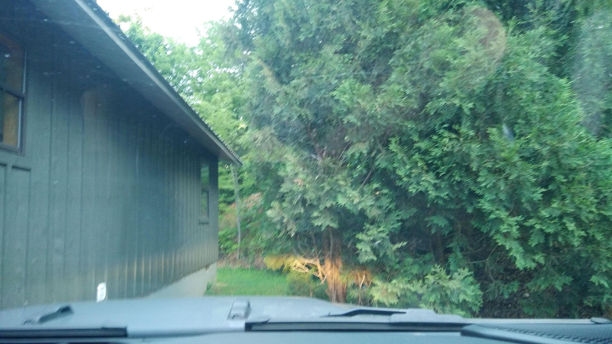 Street view near Above it All Rental by Aunt Bugs Cabin Rentals, Gatlinburg — © jacklehoullier (CC BY-SA · Mapillary)
