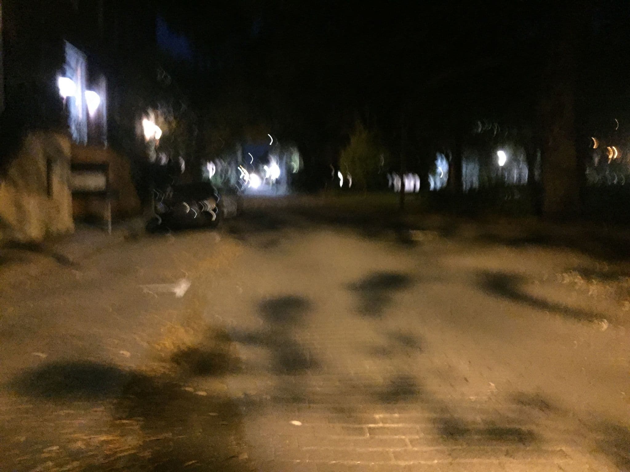 Street view near Vestal Savannah, Savannah — © davegis (CC BY-SA · Mapillary)