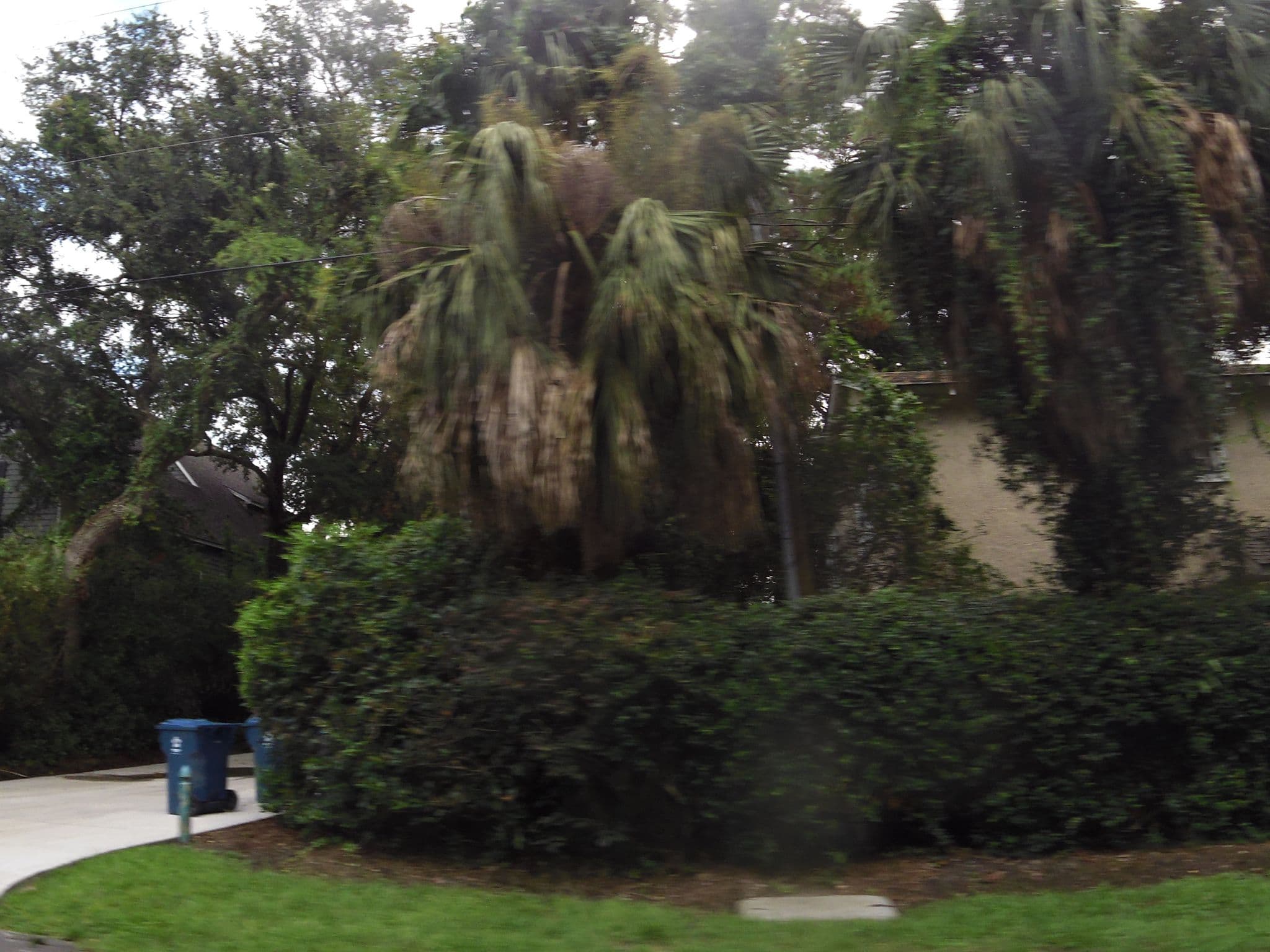 Street view near Hodnett Cooper's Shipwatch, Saint Simons Island — © allen (CC BY-SA · Mapillary)