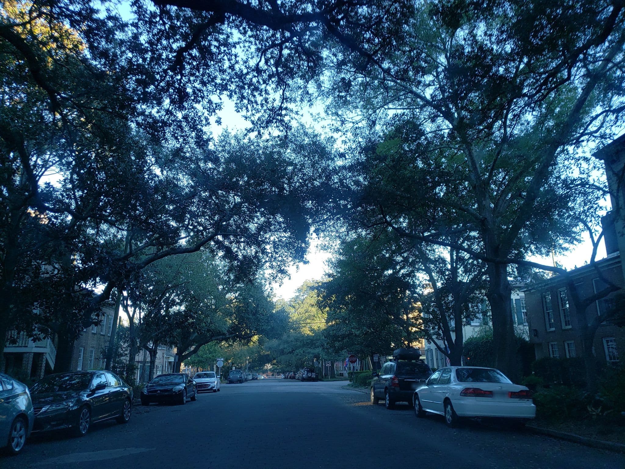 Street view near the bunny liquor, Savannah — © davegis (CC BY-SA · Mapillary)