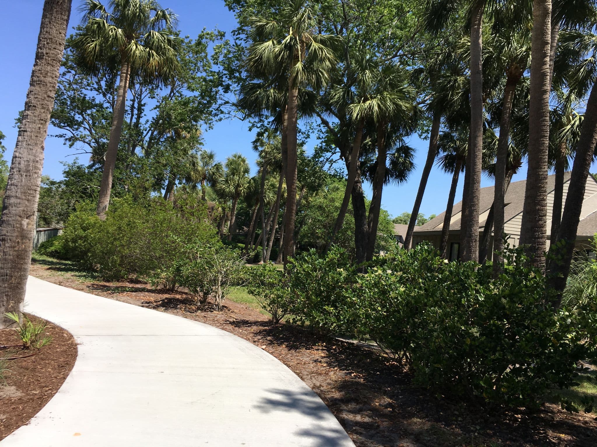 Street view near My Empty Room, Hilton Head Island — © talllguy (CC BY-SA · Mapillary)