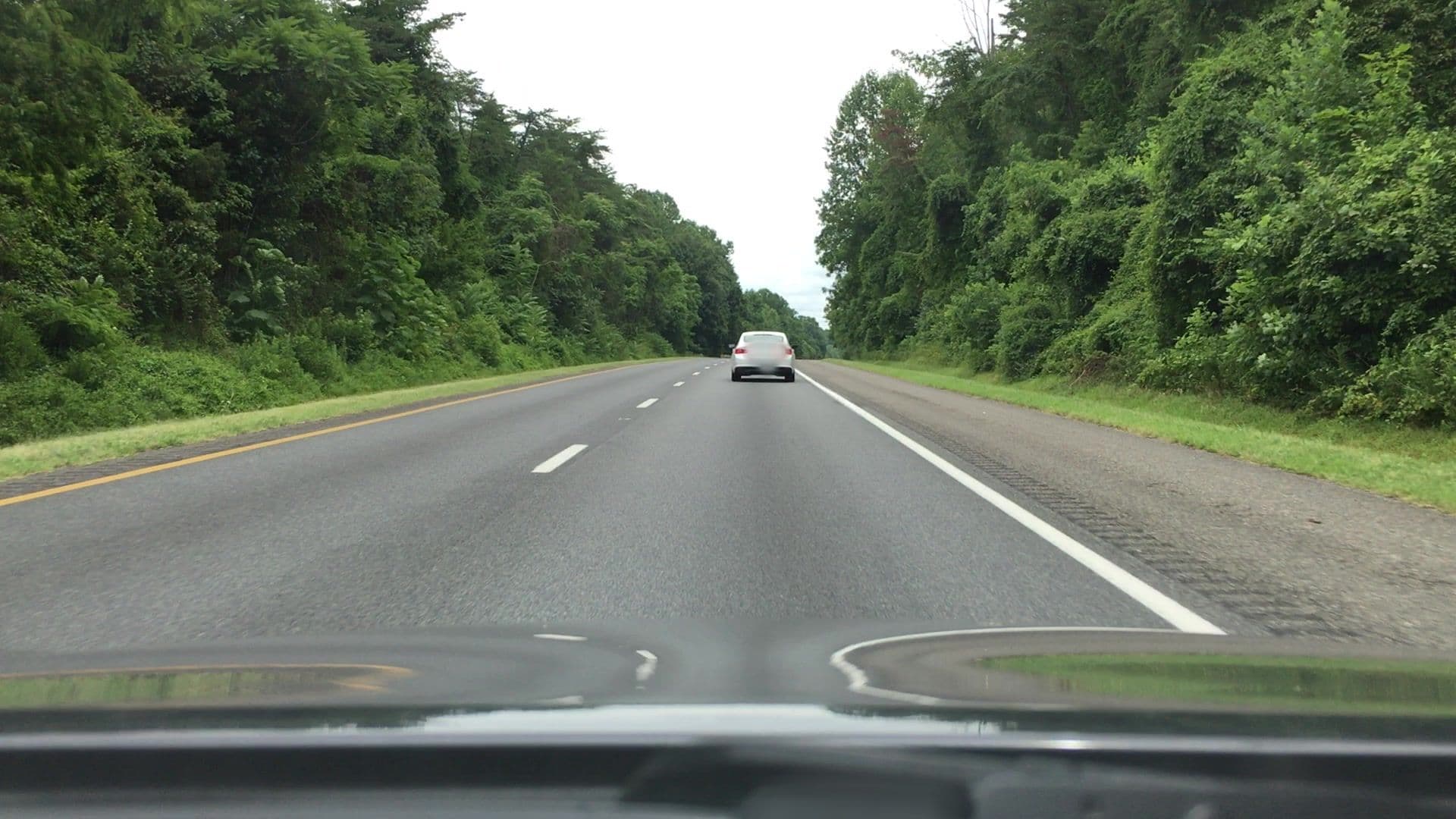 Street view near Serpentine Studio, Charlottesville — © lvl5 (CC BY-SA · Mapillary)