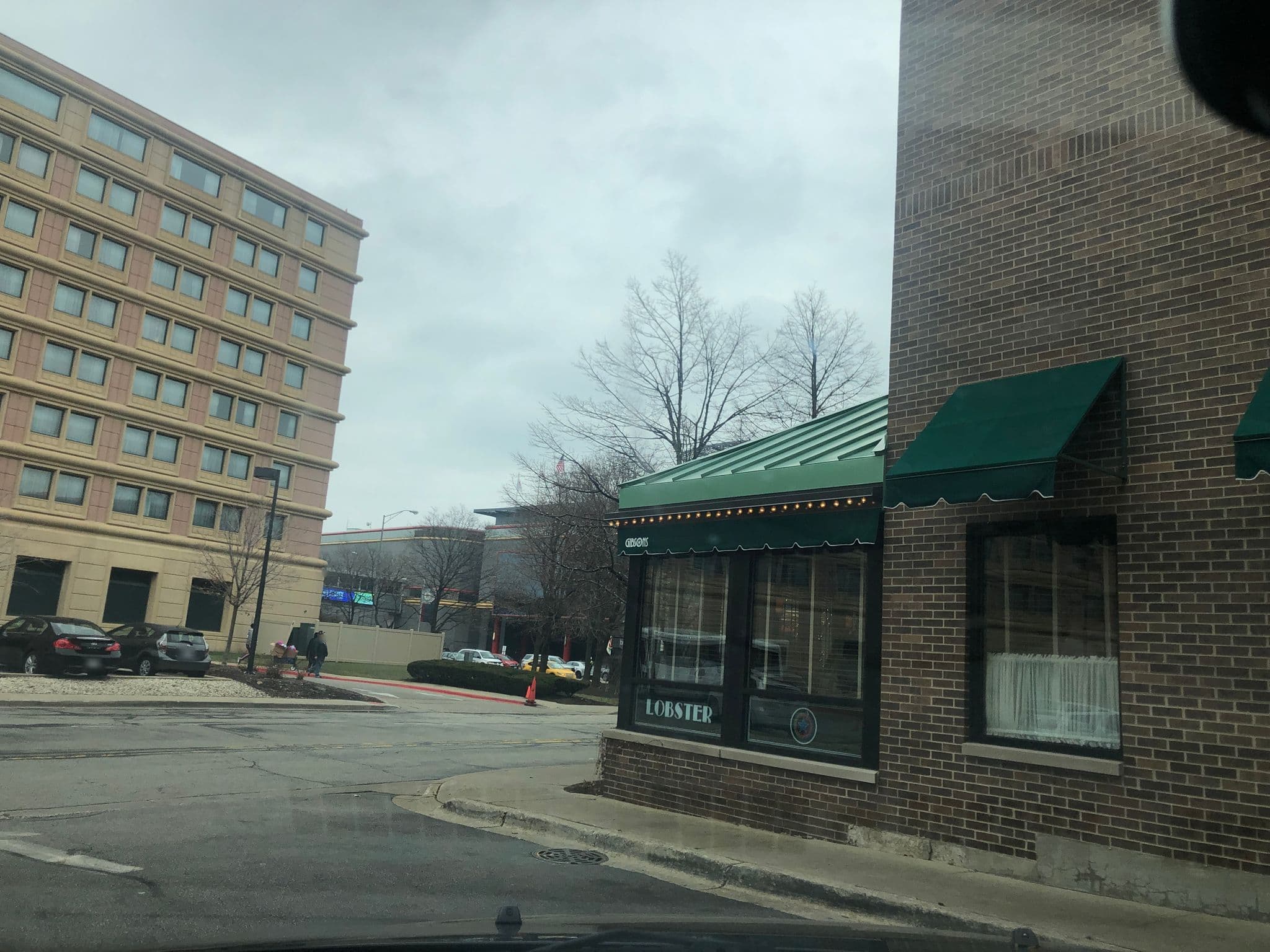 Street view near DoubleTree by Hilton, Schiller Park — © taty597 (CC BY-SA · Mapillary)