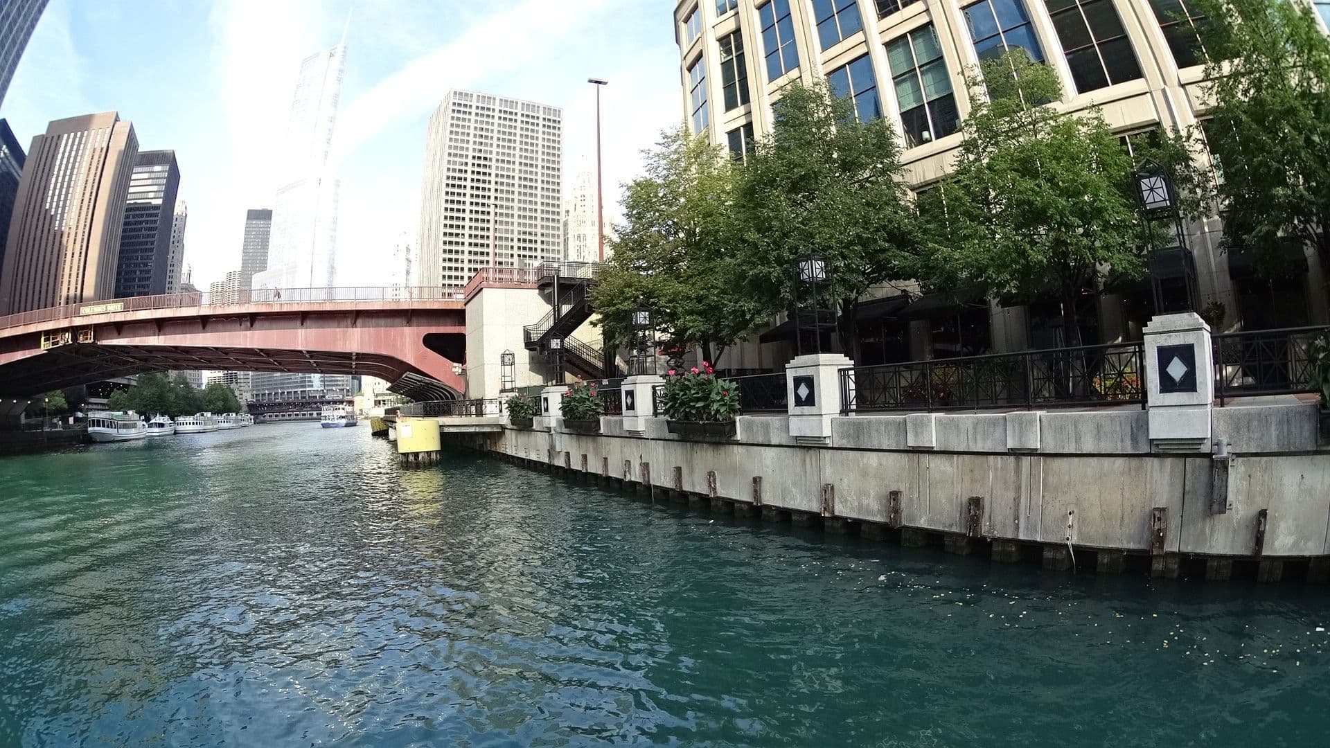 Street view near Cubs Convention 2018, Chicago Loop — © cookry (CC BY-SA · Mapillary)