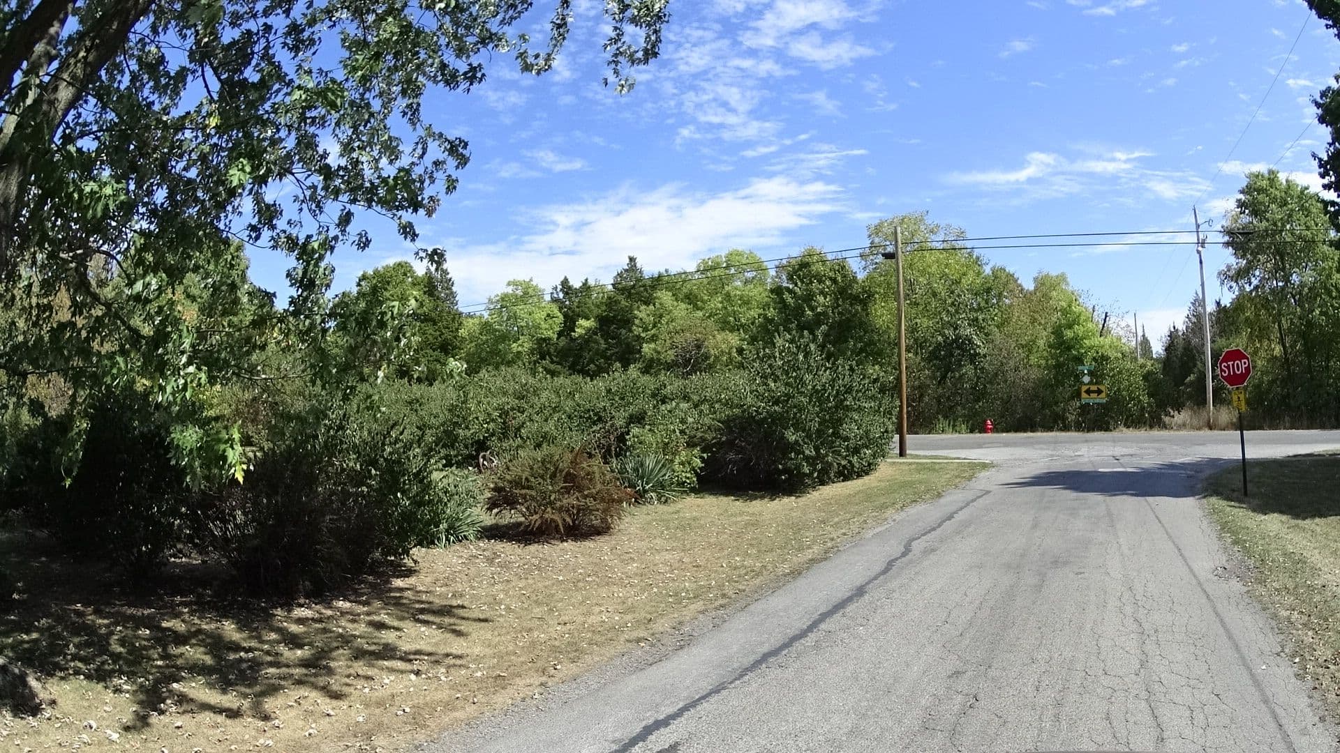 Street view near Cameron House Bed & Breakfast, Sandusky — © gyllen (CC BY-SA · Mapillary)