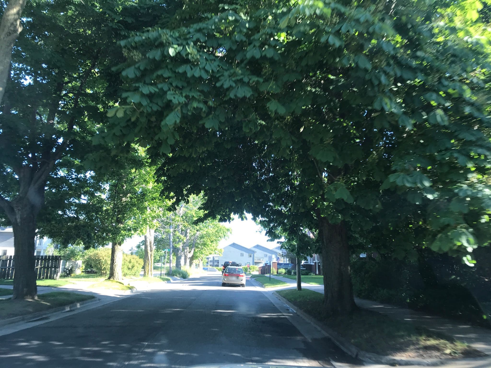 Street view near blessing by the beach, Manistee — © motomurphyadv (CC BY-SA · Mapillary)