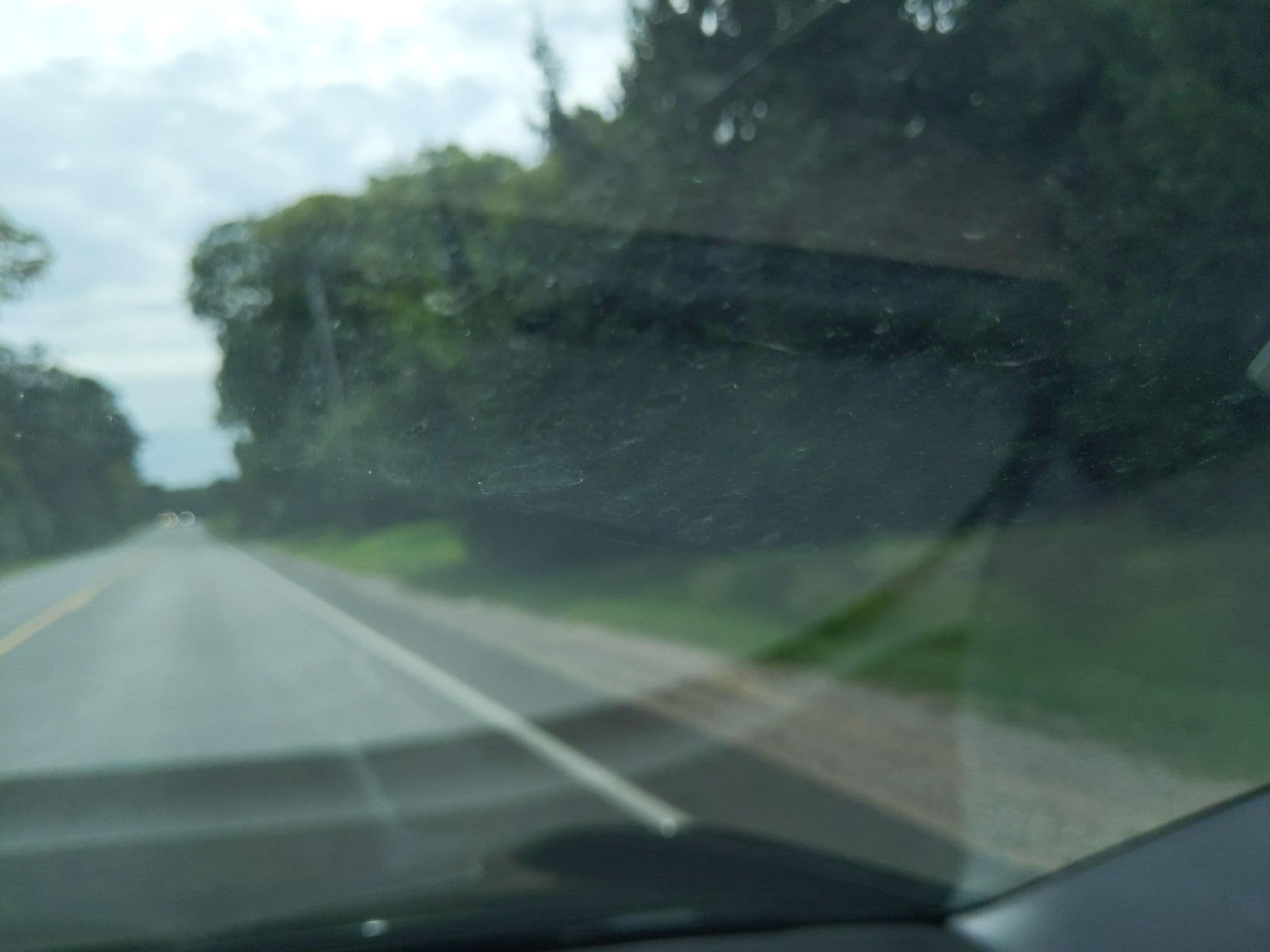 Street view near Bayside Resort, Traverse City — © treestryder (CC BY-SA · Mapillary)