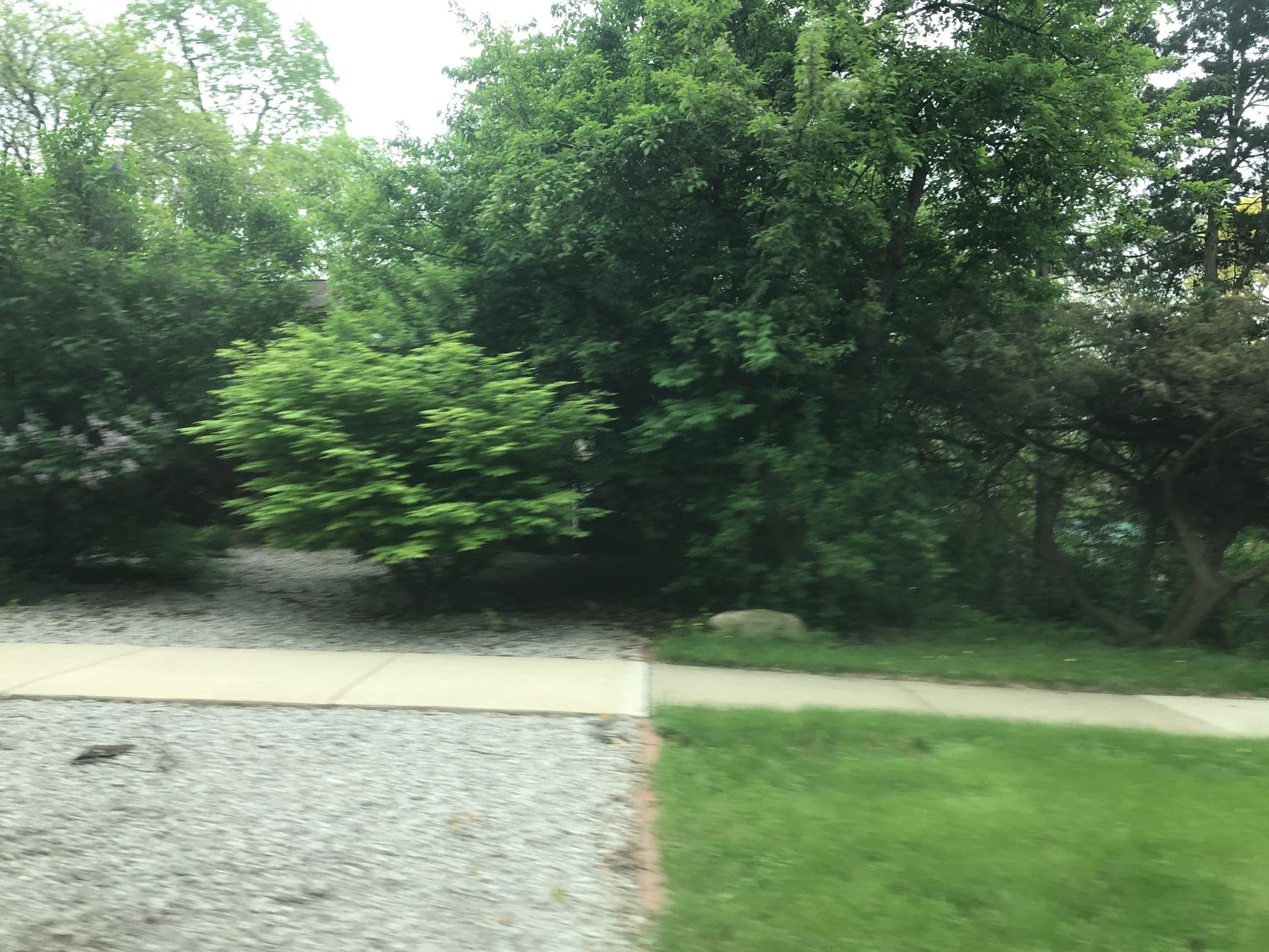 Street view near Lost Beach Resort Office, Ann Arbor — © plumgarden (CC BY-SA · Mapillary)