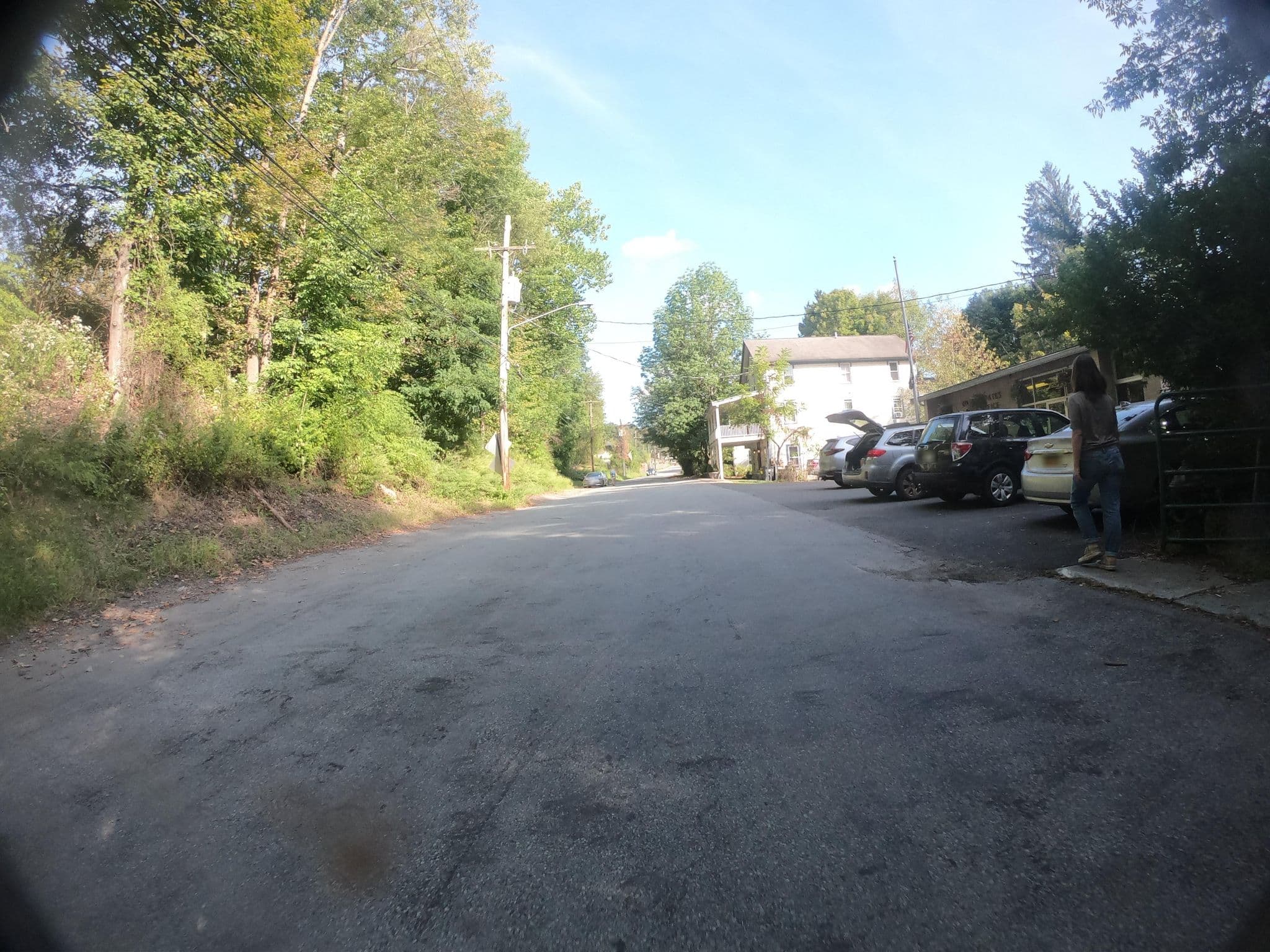 Street view near Nine River Road, Livingston Manor — © pfbreton (CC BY-SA · Mapillary)