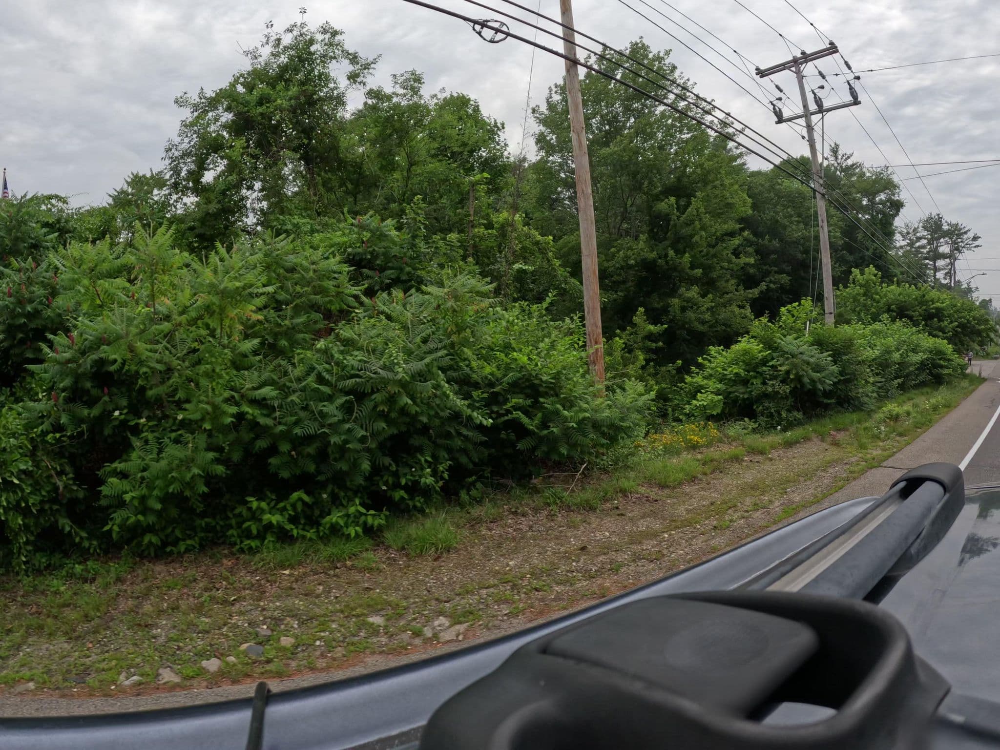 Street view near Village Green Motels, Wells Beach Station — © vorpalblade (CC BY-SA · Mapillary)