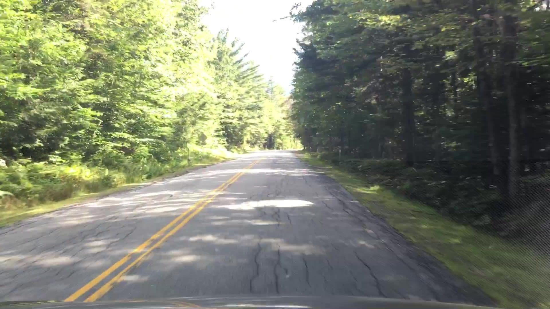 Street view near Wilderness Cabins, North Conway — © lvl5 (CC BY-SA · Mapillary)