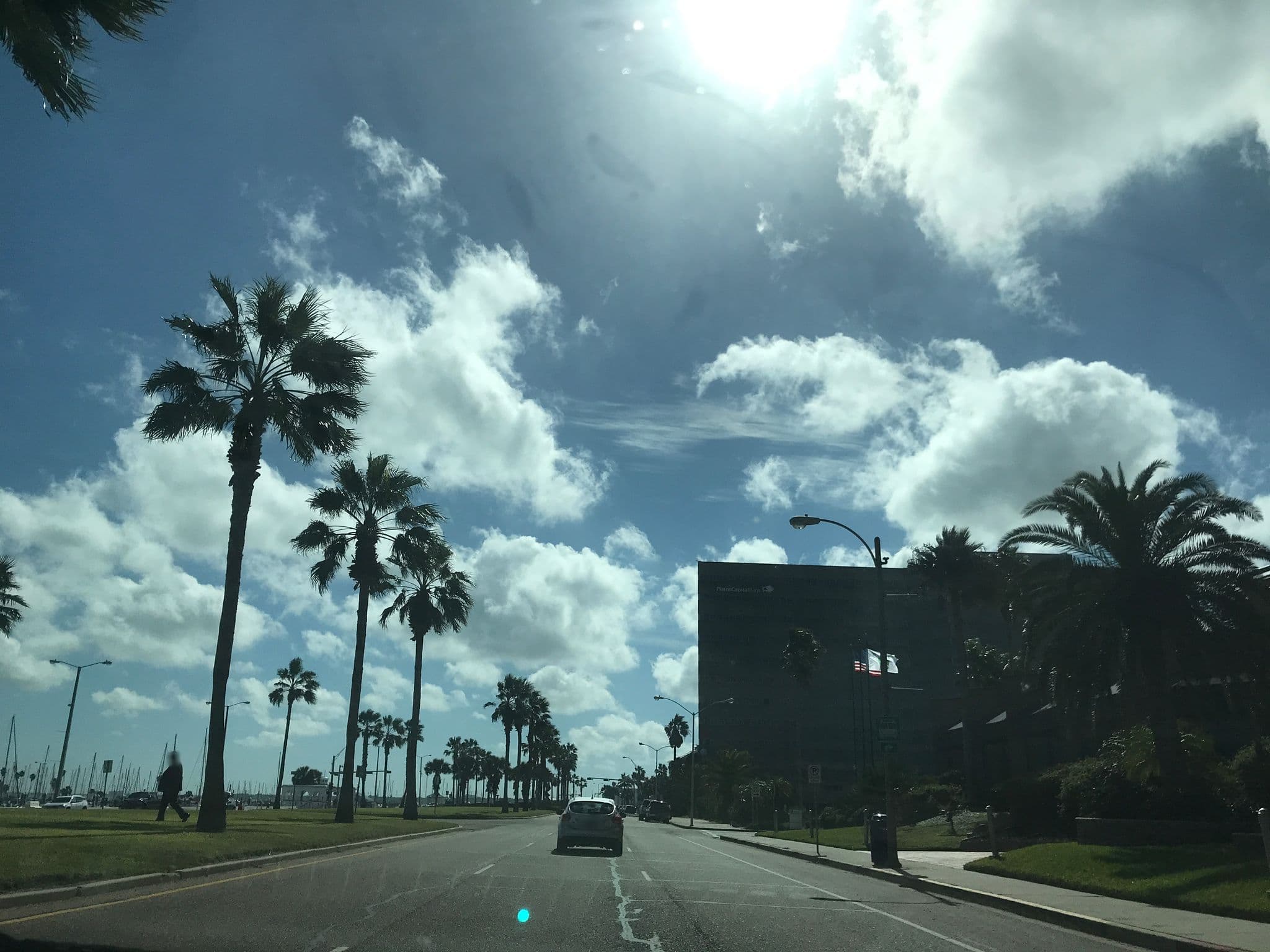 Street view near Omni Marina Hotel Pool, Corpus Christi — © inklingboi02 (CC BY-SA · Mapillary)