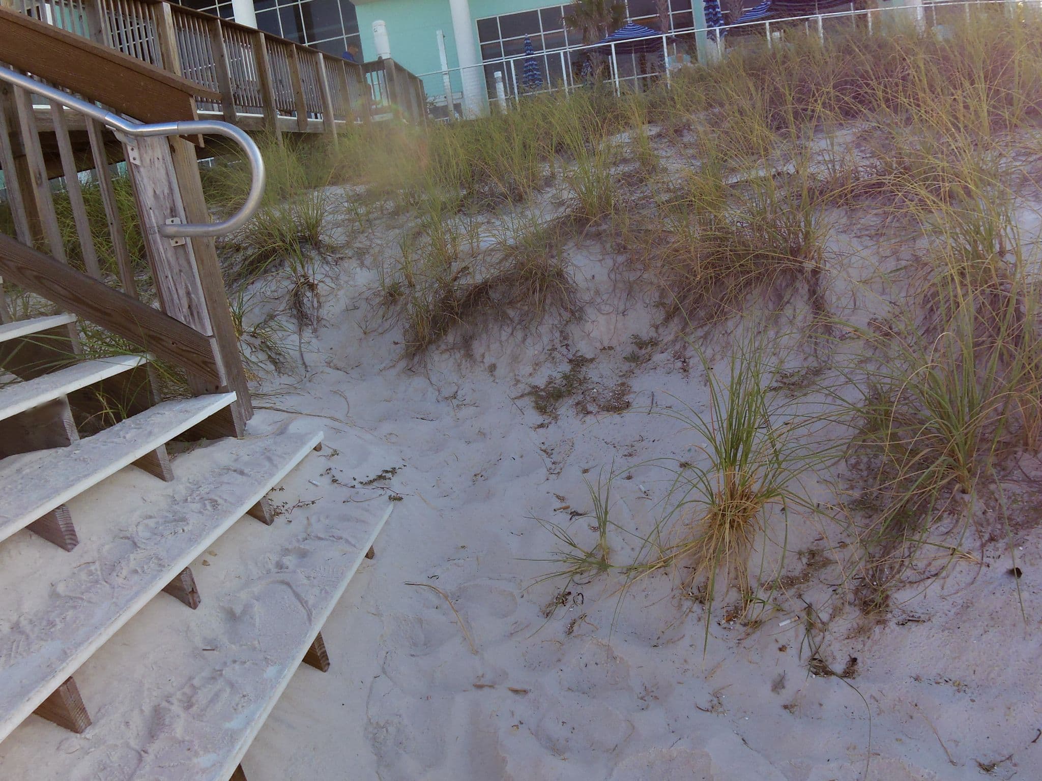 Street view near Hampton Inn by Hilton, Panama City Beach — © allen (CC BY-SA · Mapillary)