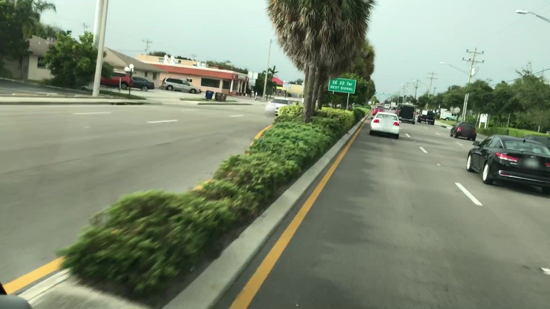 Street view near Animod, Cape Coral — © lvl5 (CC BY-SA · Mapillary)