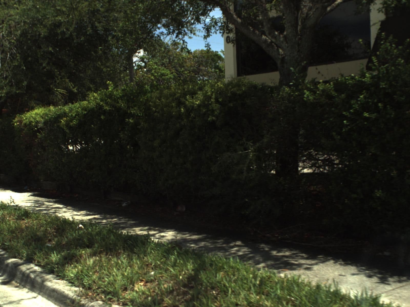 Street view near Vos Hospitality, Fort Lauderdale — © fdot_vl (CC BY-SA · Mapillary)