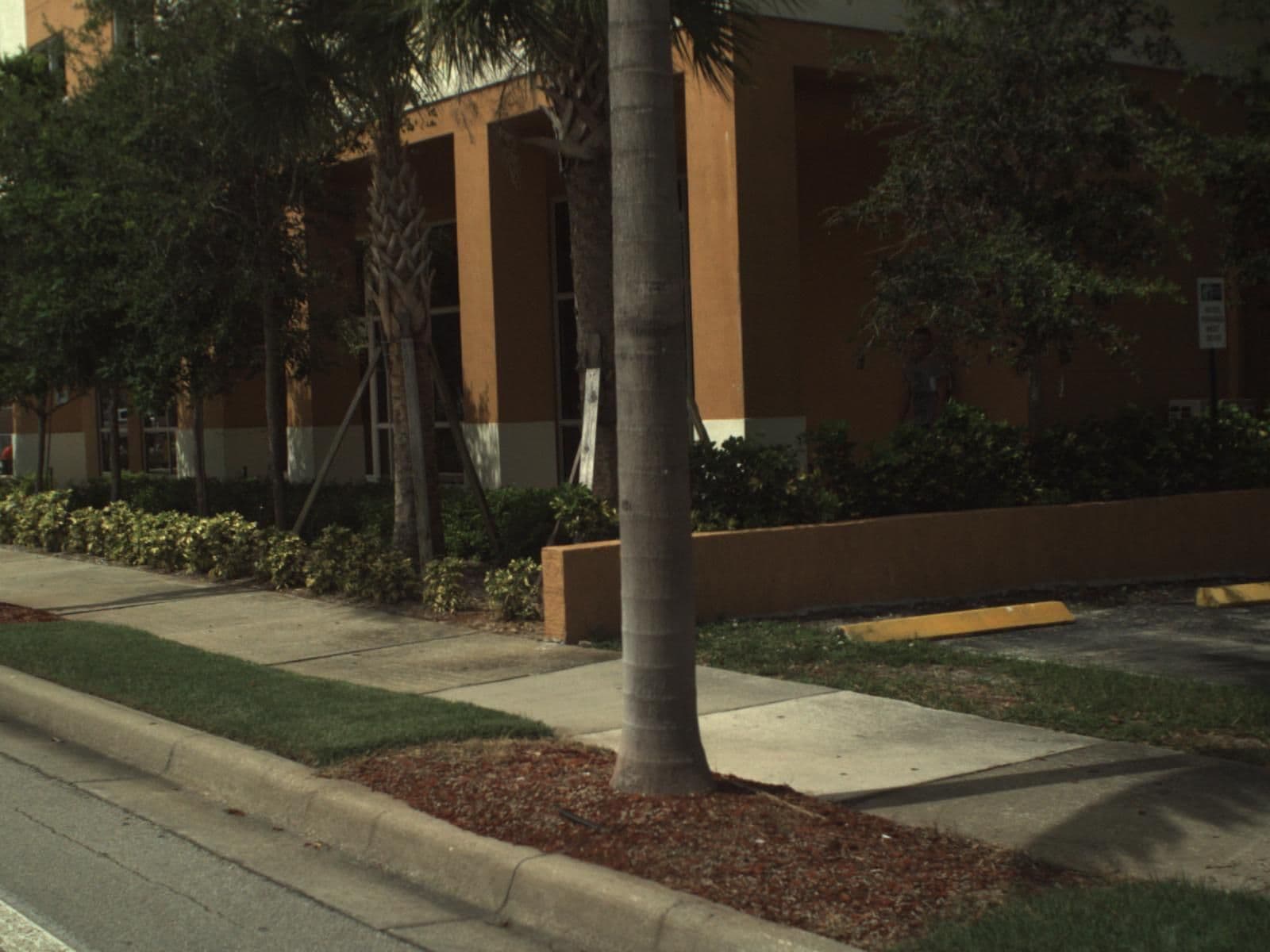 Street view near Holiday Inn Express & Suites, Dania Beach — © fdot_vl (CC BY-SA · Mapillary)