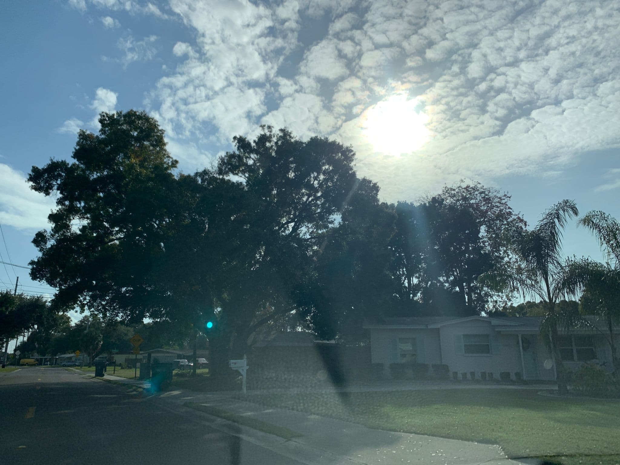 Street view near L.Z.'s, Tampa — © mindplayer (CC BY-SA · Mapillary)