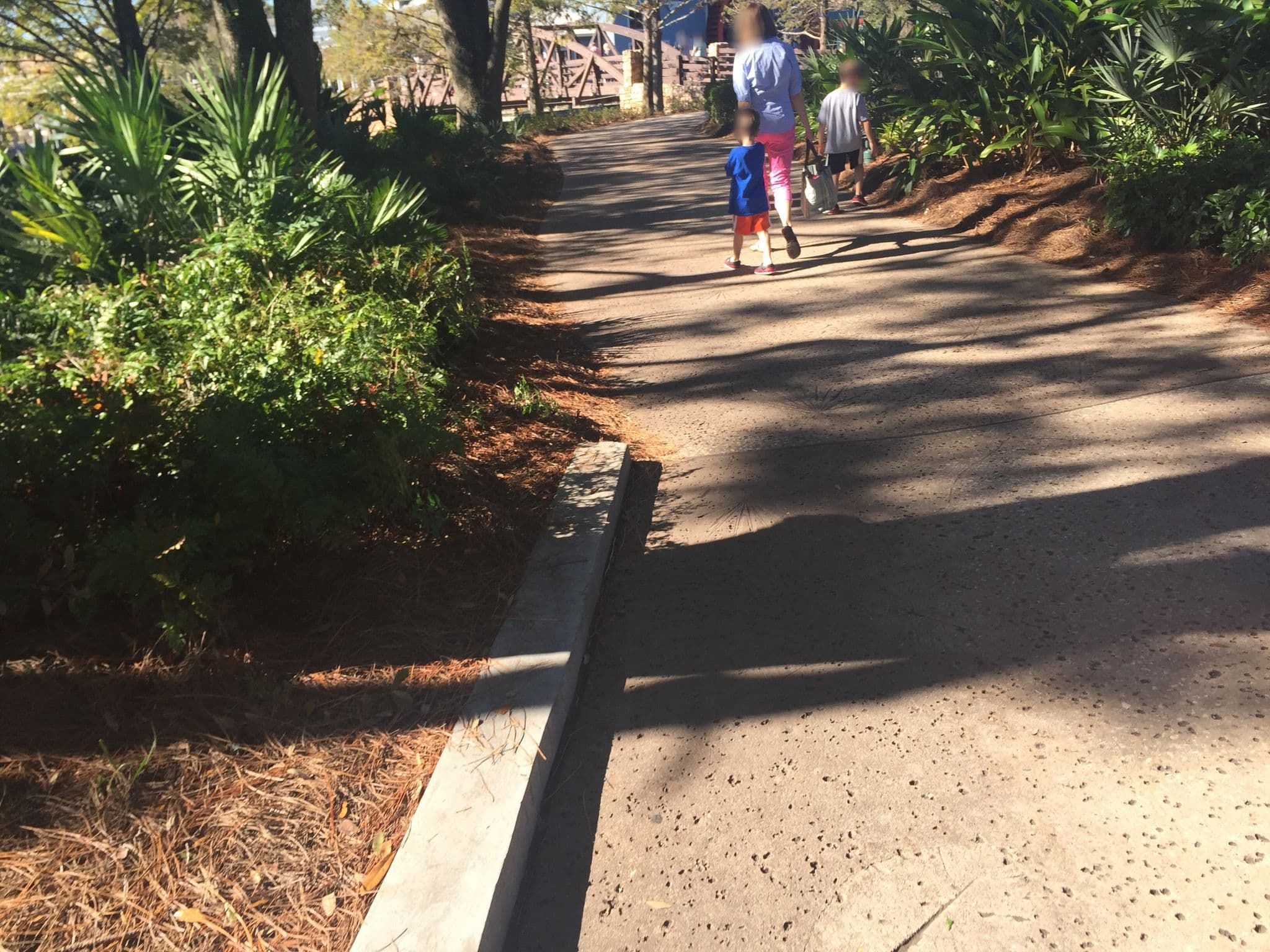 Street view near Ol’ Man Island Campfire, Celebration — © riordan (CC BY-SA · Mapillary)