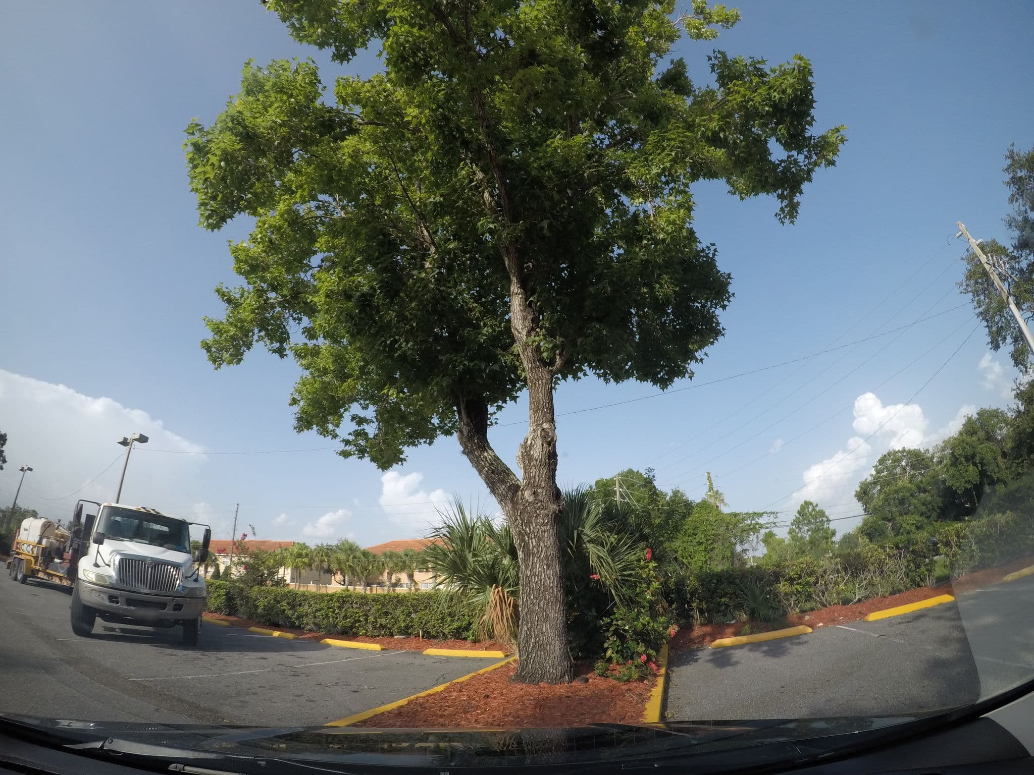 Street view near Copacabana Beach Inn, Celebration — © gerald82 (CC BY-SA · Mapillary)