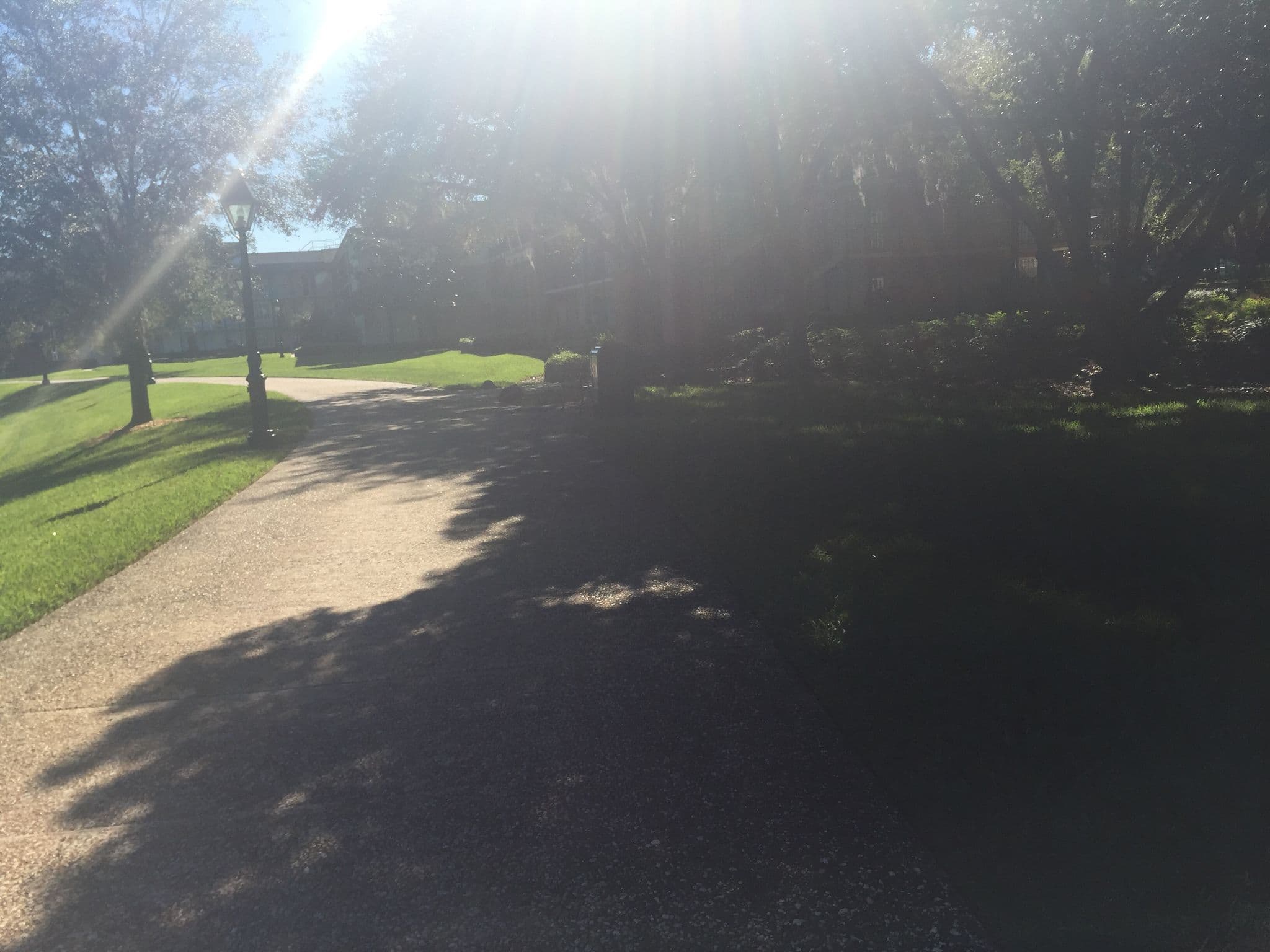 Street view near Walkway Between Port Orleans French Quarter And Riverside, Celebration — © riordan (CC BY-SA · Mapillary)