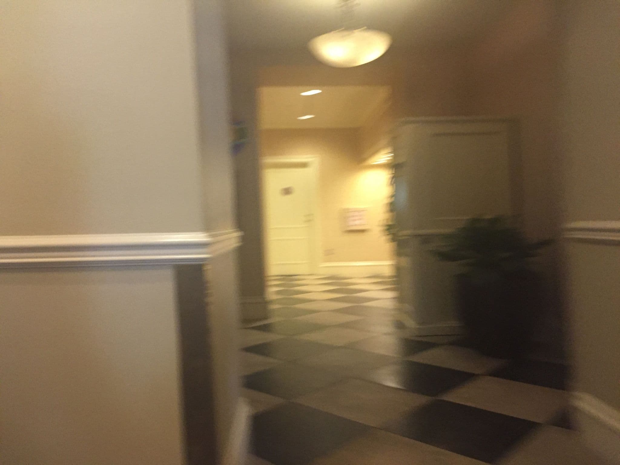 Street view near Disney's Port Orleans French Quarter Resort, Celebration — © riordan (CC BY-SA · Mapillary)
