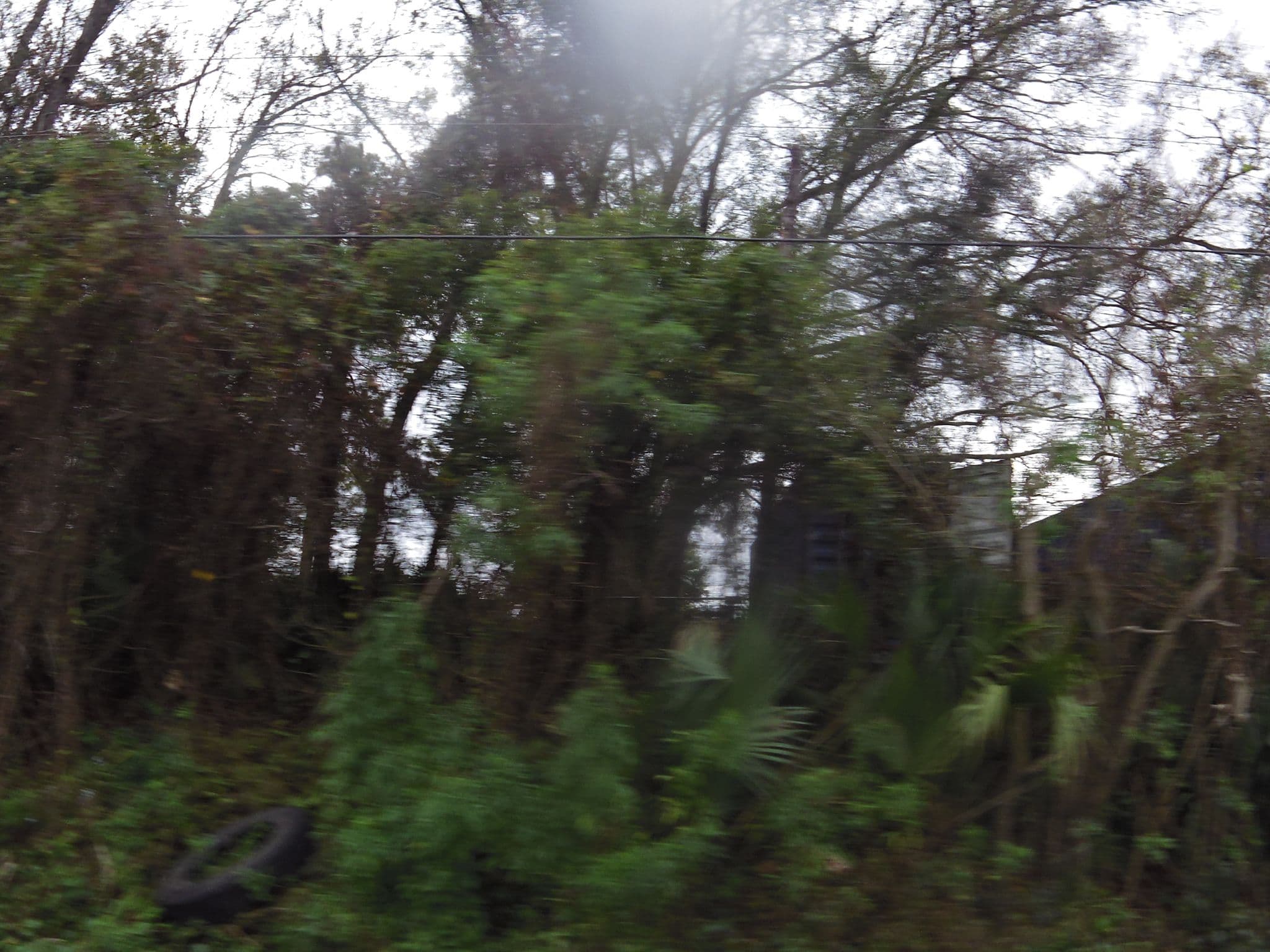 Street view near Monterey, Jacksonville — © allen (CC BY-SA · Mapillary)