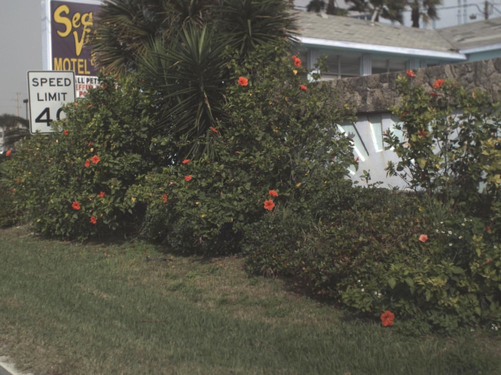 Street view near Sea Vista Motel, New Smyrna Beach — © fdot_vl (CC BY-SA · Mapillary)
