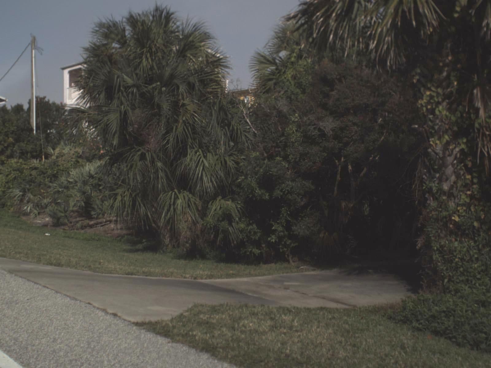 Street view near #48, New Smyrna Beach — © fdot_vl (CC BY-SA · Mapillary)