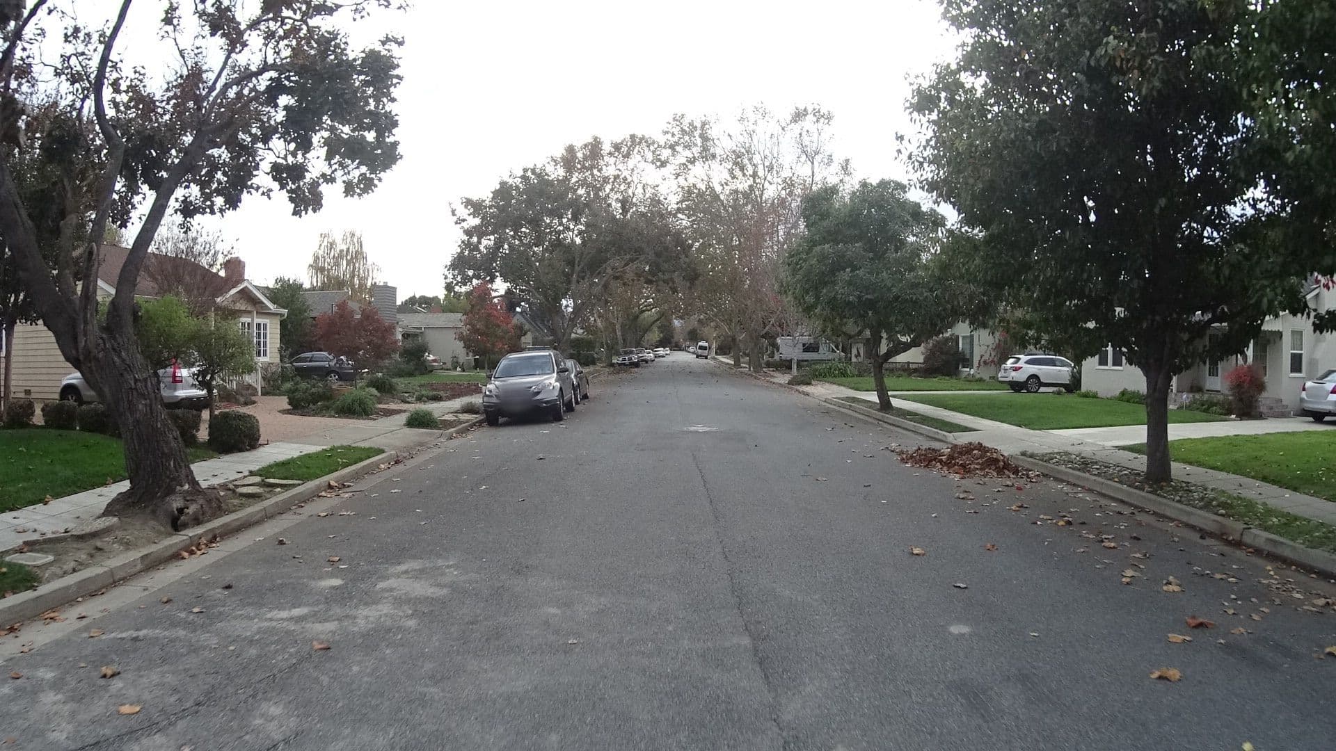 Street view near The Hammock, San Jose — © bhousel (CC BY-SA · Mapillary)