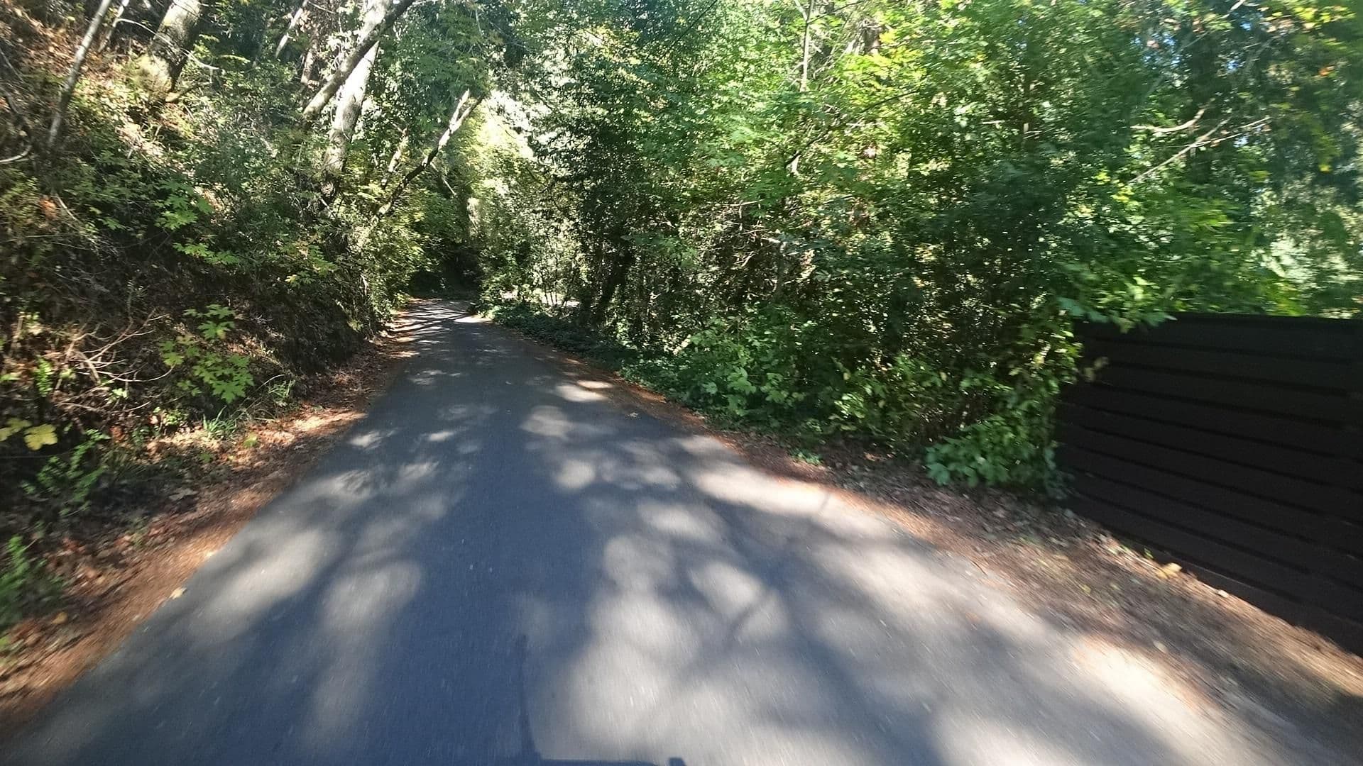 Street view near Rio Vista, Guerneville — © marker_geo (CC BY-SA · Mapillary)
