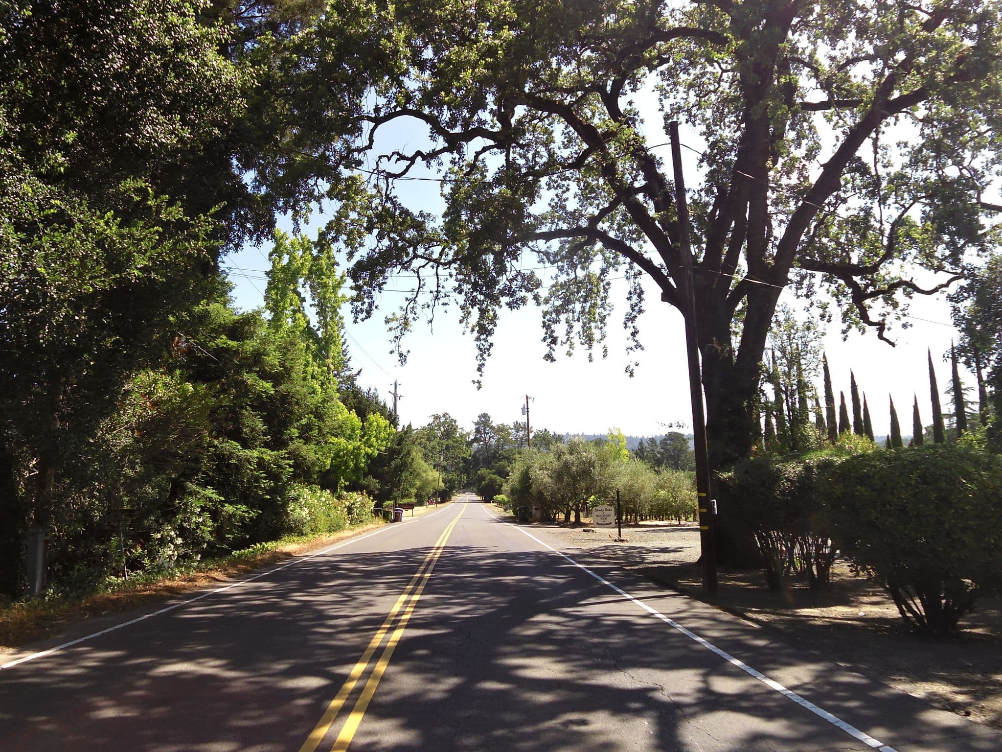 Street view near Shady Oaks Country Inn, Saint Helena — © andrewsnow (CC BY-SA · Mapillary)