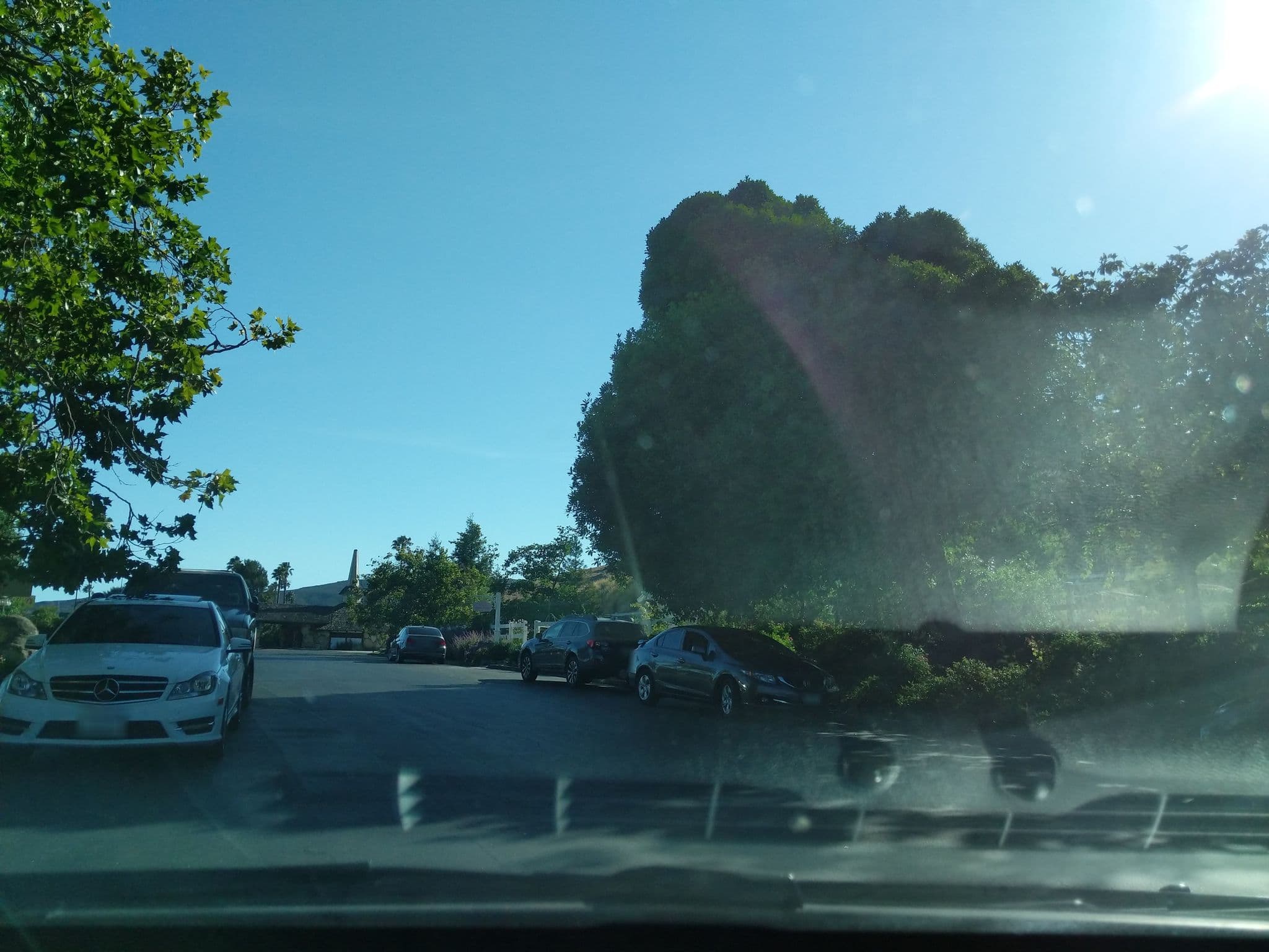 Street view near Pick And Shovel Room, San Luis Obispo — © nmixter (CC BY-SA · Mapillary)