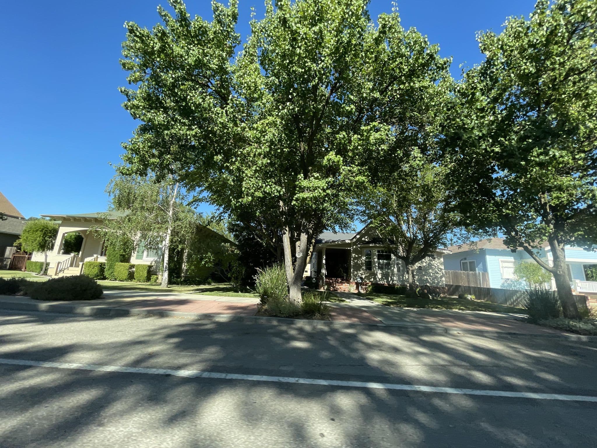 Street view near Devine Street Cottage, Paso Robles — © filipb (CC BY-SA · Mapillary)