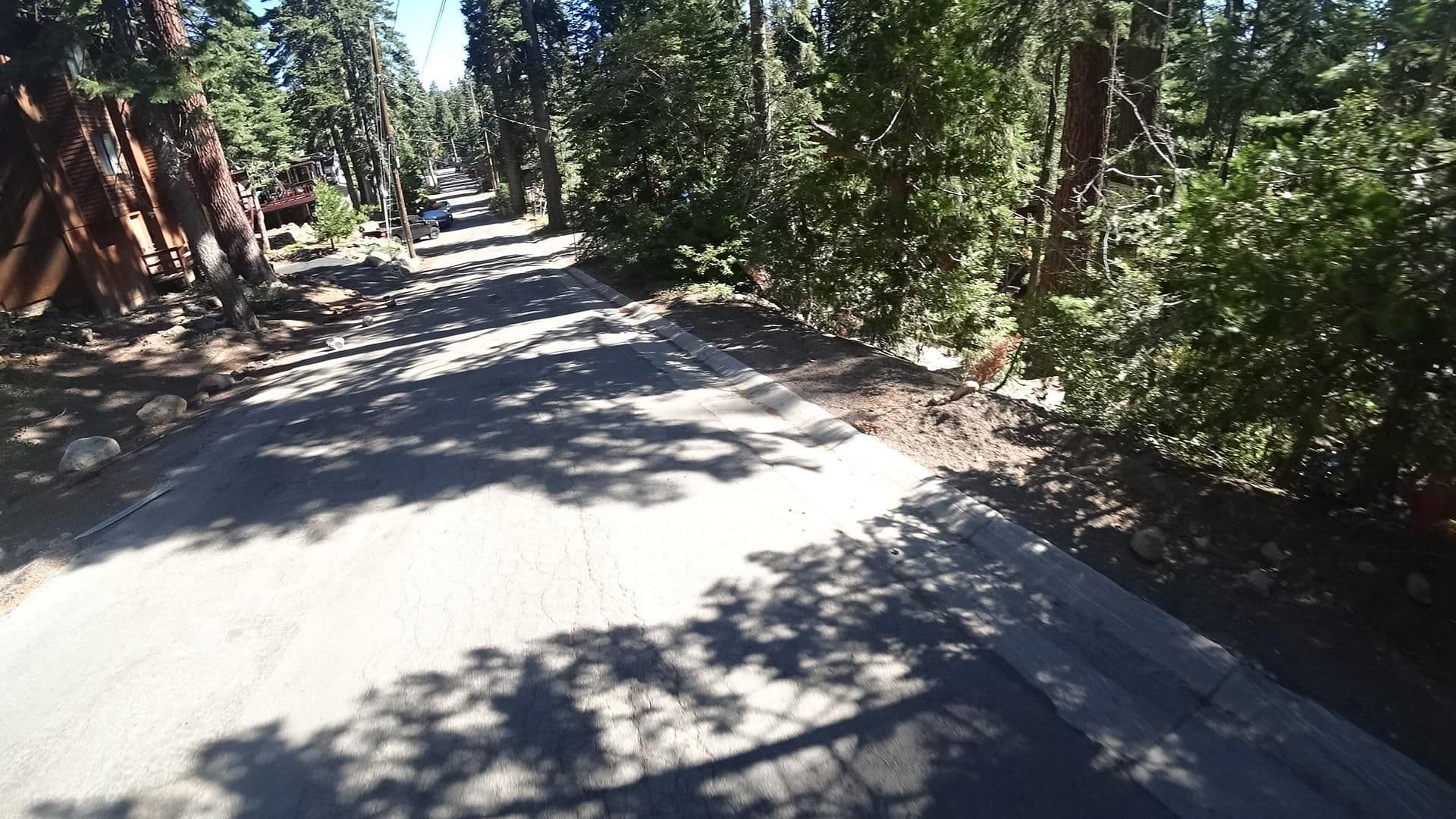 Street view near YSC Tahoe Cabin, Sunnyside-Tahoe City — © marker_geo (CC BY-SA · Mapillary)