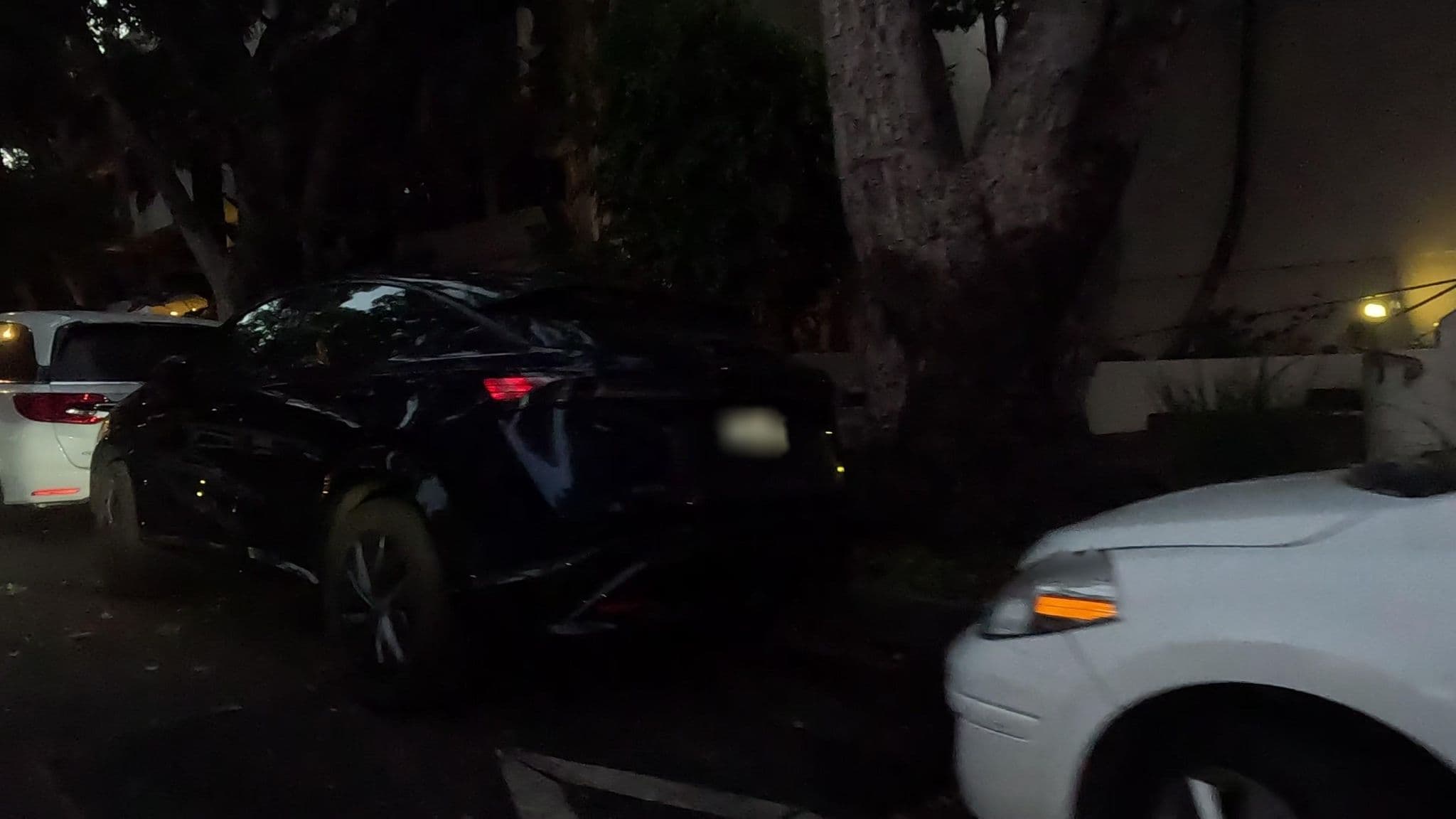 Street view near Llama Lounge, Beverly Hills — © ebelmudez (CC BY-SA · Mapillary)
