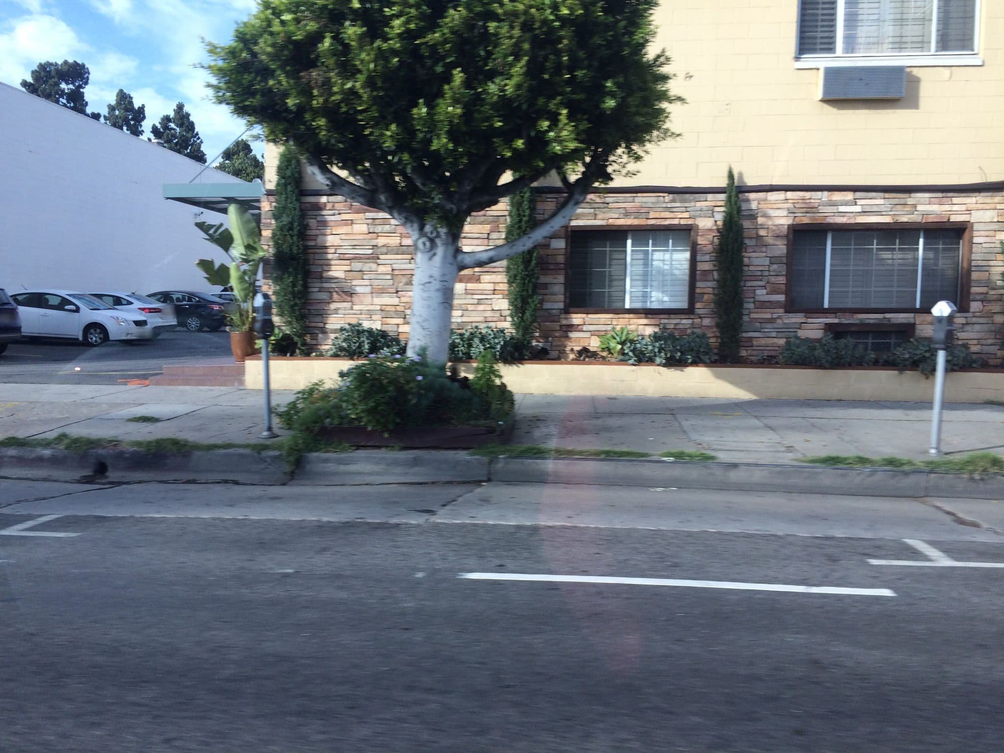 Street view near Hotel H-Wood, Hollywood — © gyllen (CC BY-SA · Mapillary)
