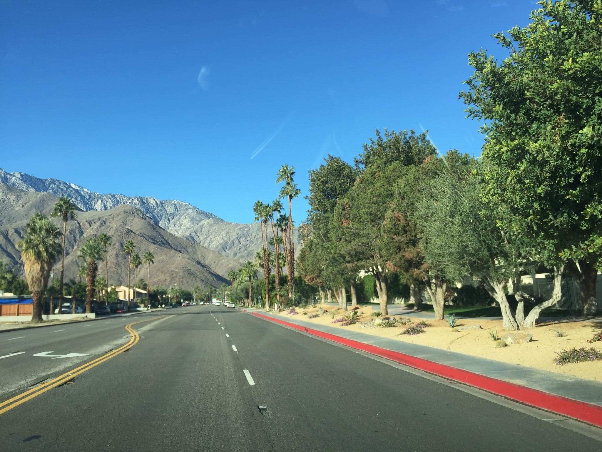 Street view near Sakura Japanese Style Bed & Breakfast Inn, Palm Springs — © jesolem (CC BY-SA · Mapillary)