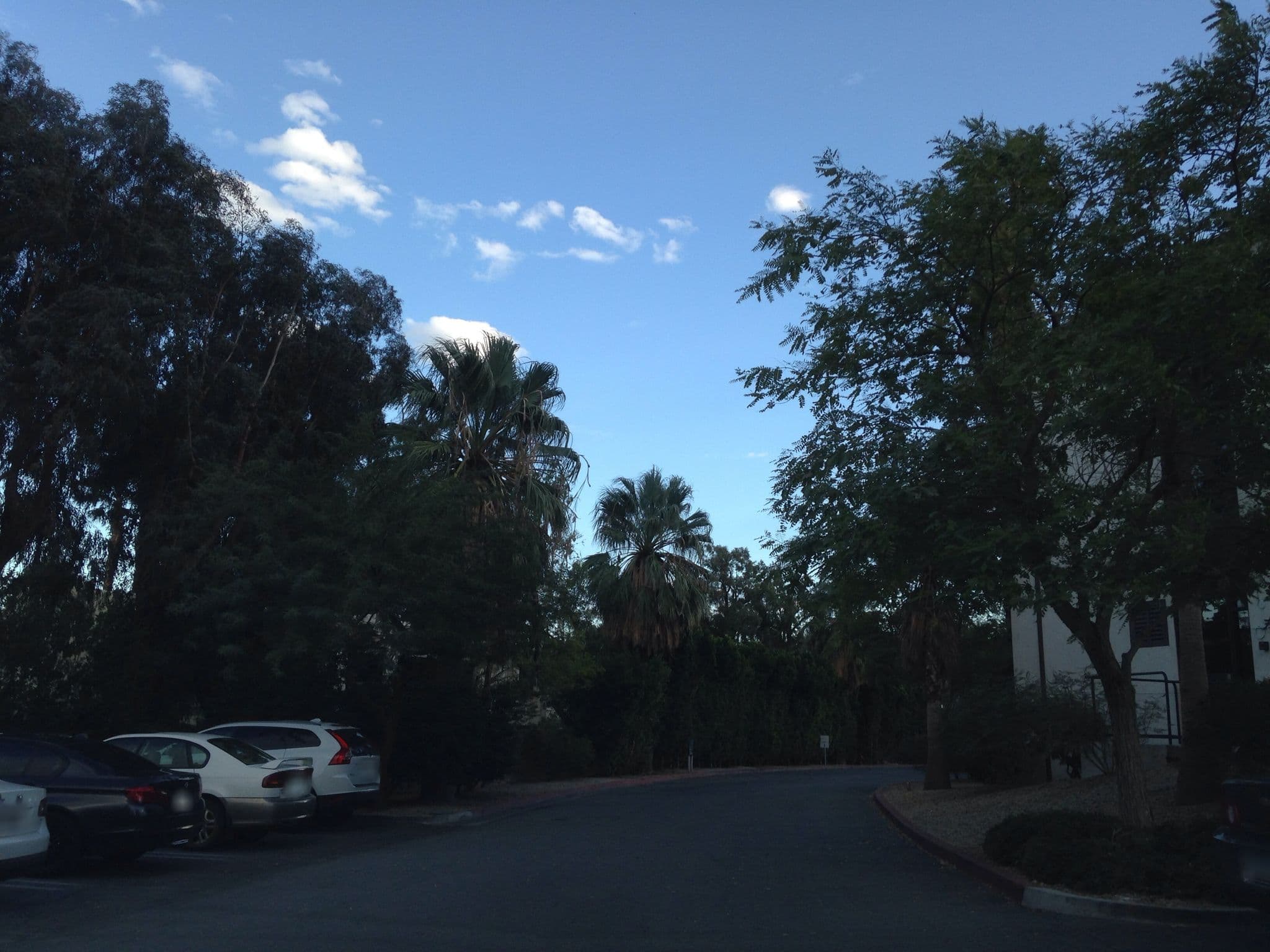 Street view near Riveria, Palm Springs — © sarawabreus (CC BY-SA · Mapillary)