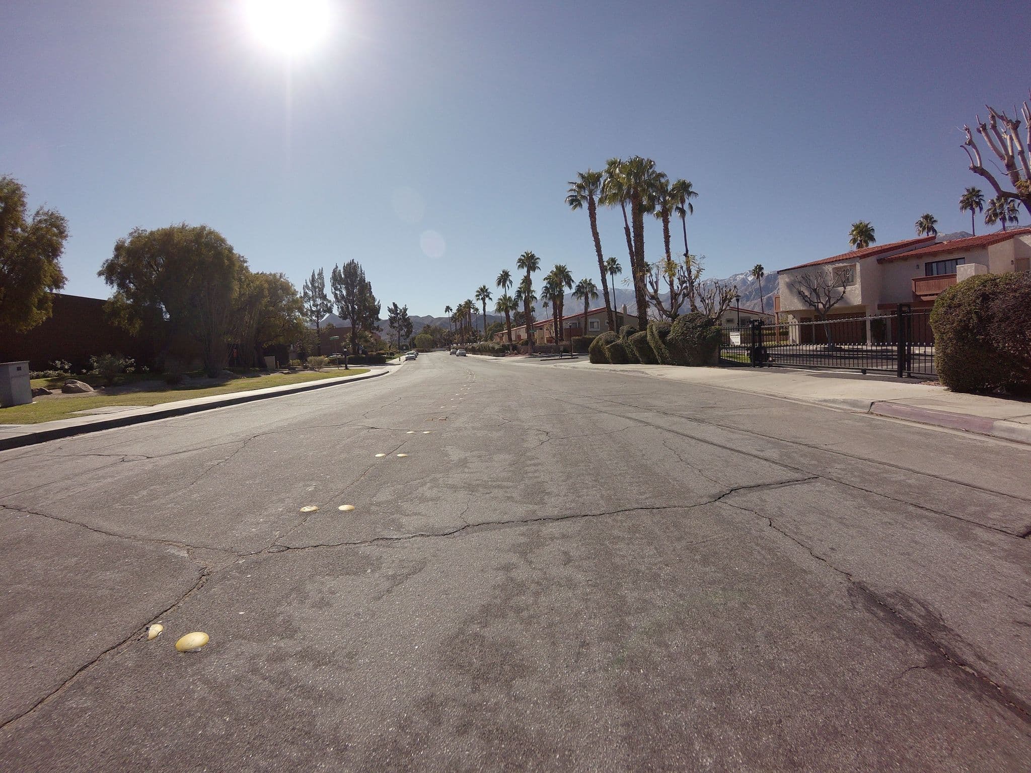 Street view near Hotel Information, Palm Springs — © gyllen (CC BY-SA · Mapillary)
