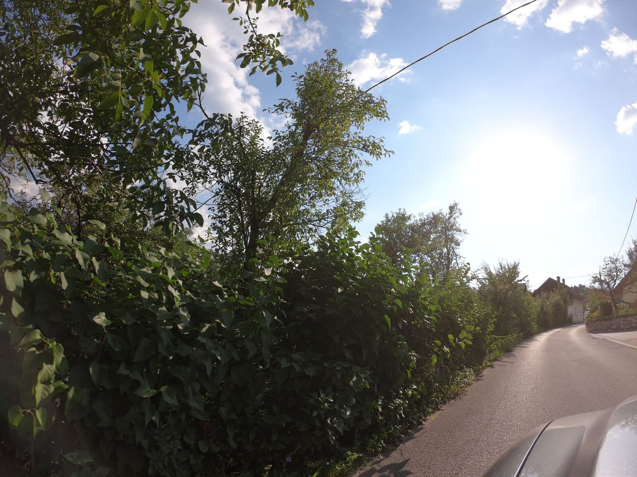Street view near Bled Oasis Apartment, Bled — © richlv (CC BY-SA · Mapillary)