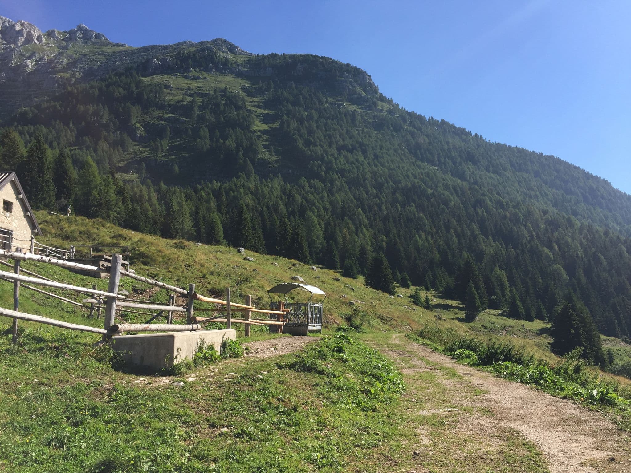 Street view near Casere Cregnedul di Sopra / Casere Crignidûl Disore, Bovec — © igorzo (CC BY-SA · Mapillary)
