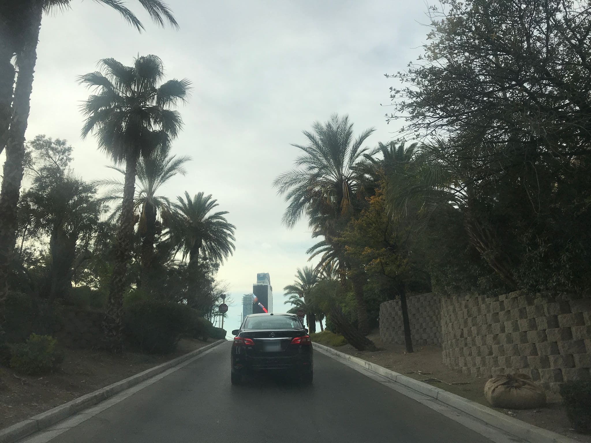 Street view near The Watsons at the Rio, Paradise — © mkhoward9 (CC BY-SA · Mapillary)
