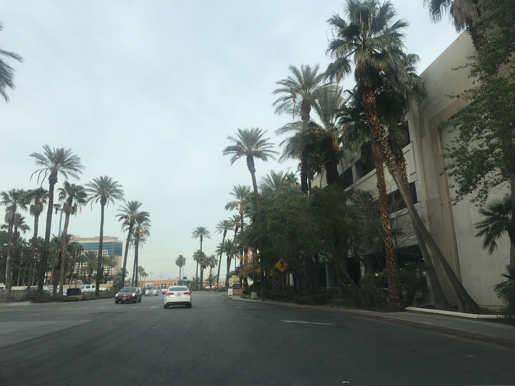 Street view near Rio All-Suites Hotel Pavillion 8-11, Paradise — © mkhoward9 (CC BY-SA · Mapillary)