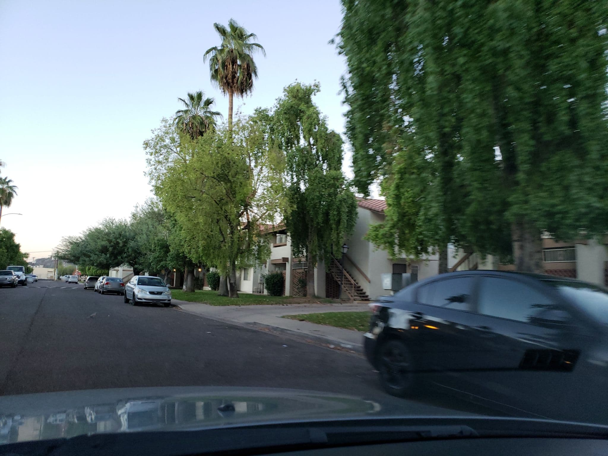 Street view near Nocturnal Resting Pads, Encanto — © drkludge (CC BY-SA · Mapillary)