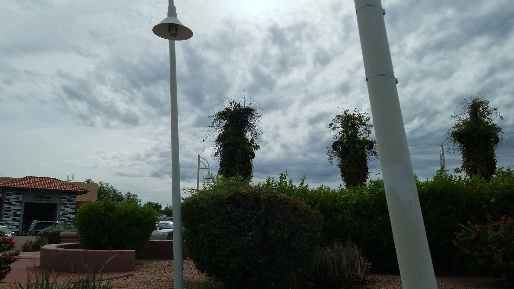 Street view near Fool, Scottsdale — © drkludge (CC BY-SA · Mapillary)