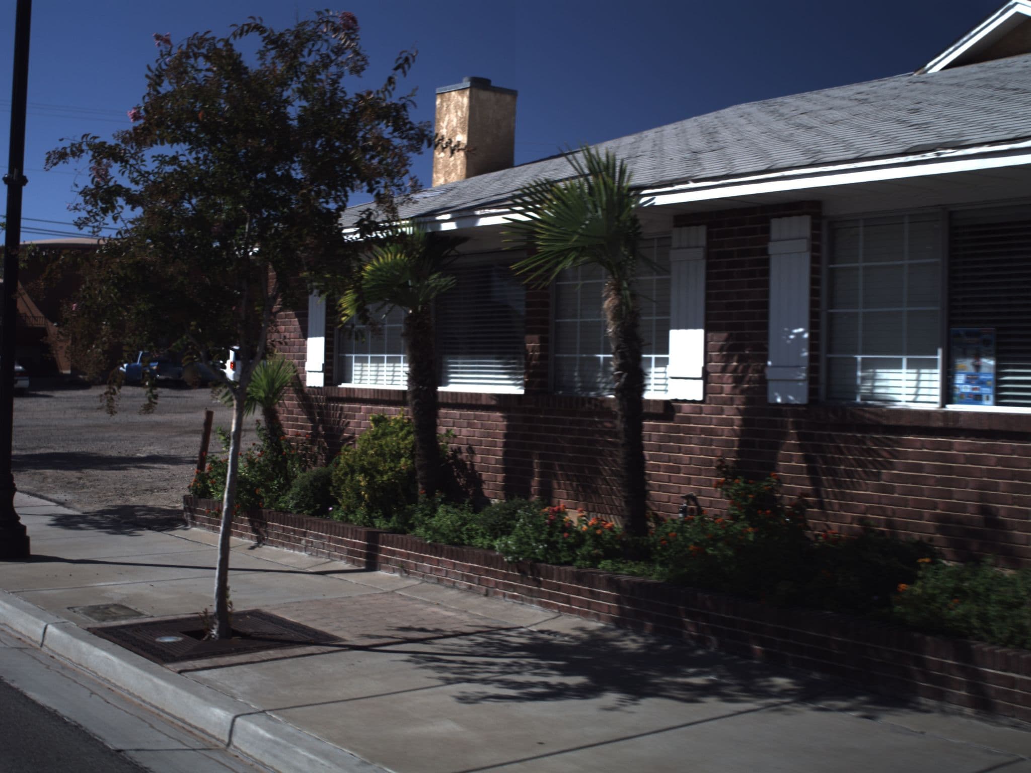 Street view near Dixie Palms Motel, Saint George — © asellars (CC BY-SA · Mapillary)